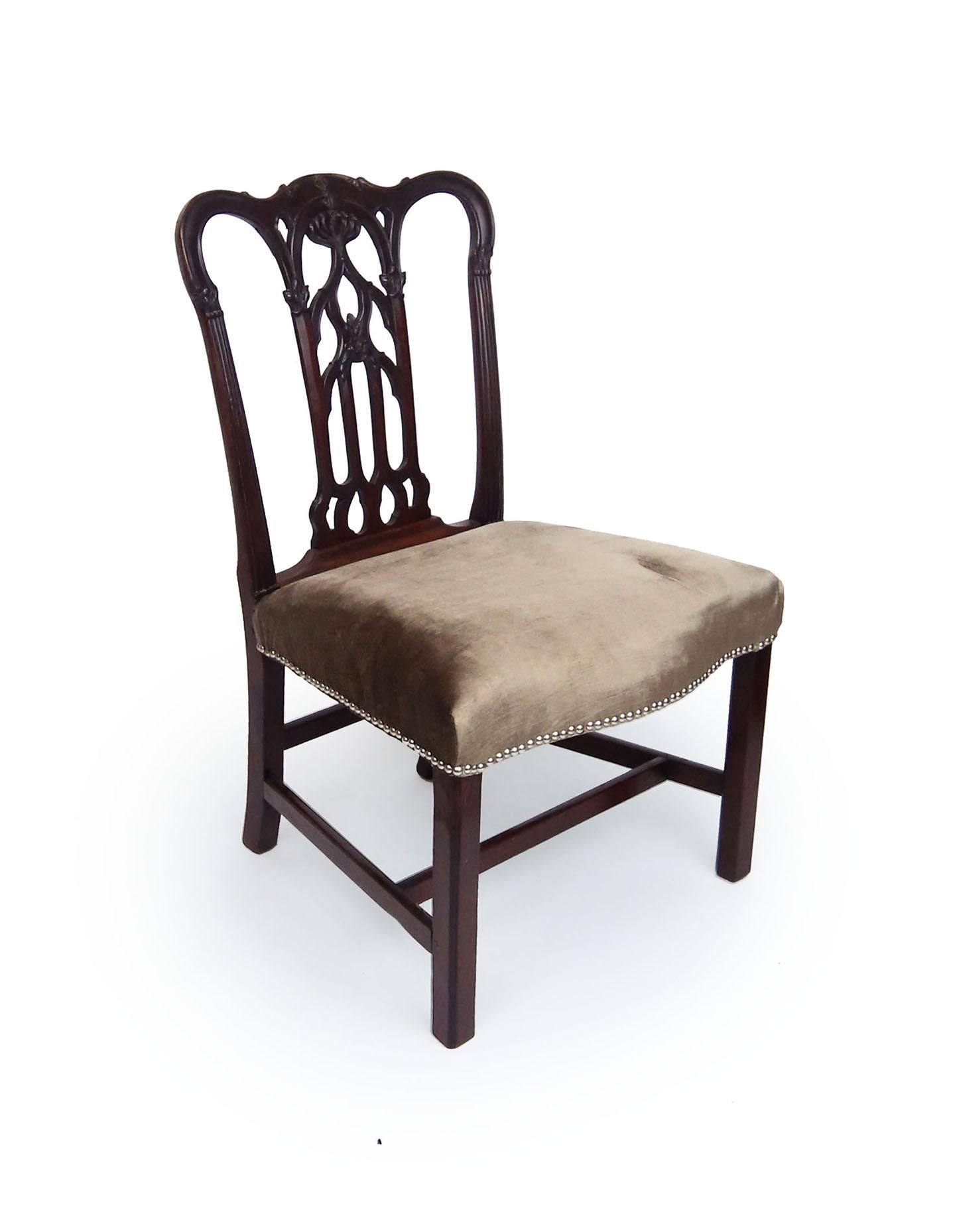 Graceful mahogany Chippendale side chair featuring Gothic tracery on its pierced splat with fine carving. Fluted styles with acanthus capitals. Original finish and reupholstered in a charcoal velvet with brushed nickel tacks on the over upholstered