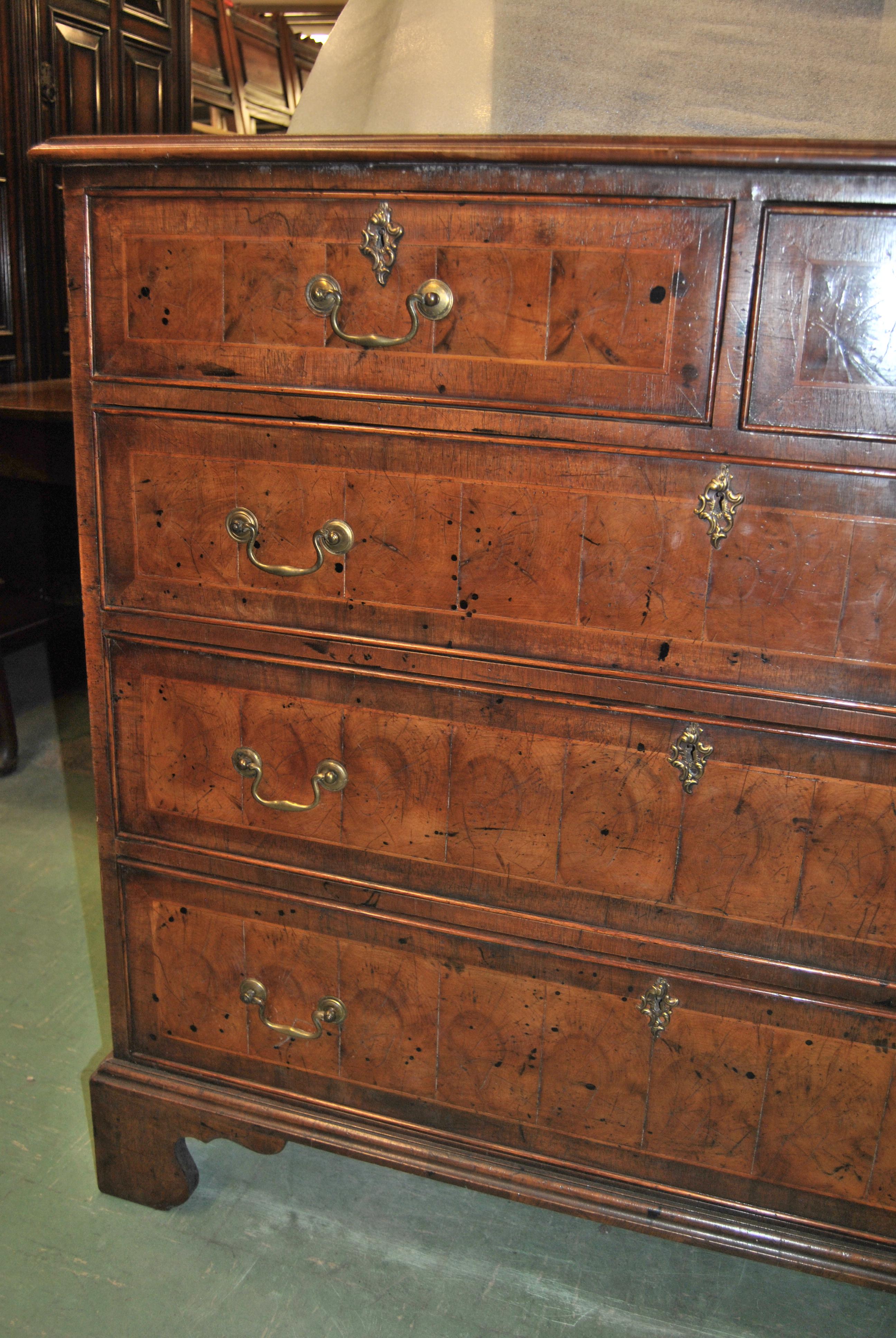 This is a chest of drawers / dresser, done in an oyster cut of walnut, that was made in England, circa 1800. The top of the chest has a nicely molded edge and is banded in walnut with a string inlay of boxwood with an oyster cut of walnut to the