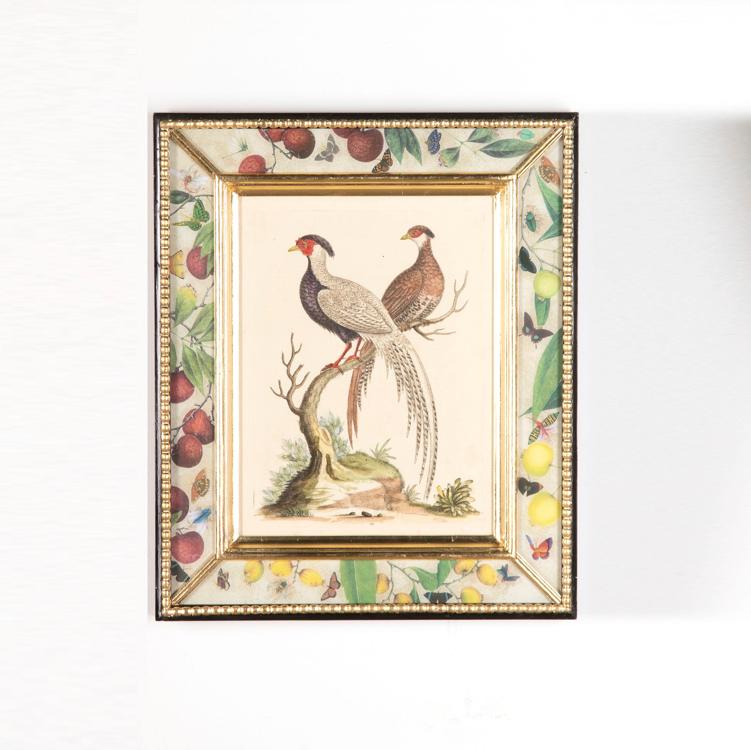 A striking set of twelve mid 18th Century English engravings of birds. 

These charming engravings are hand-coloured and demonstrate extraordinary attention to natural details. 

These engravings come from 