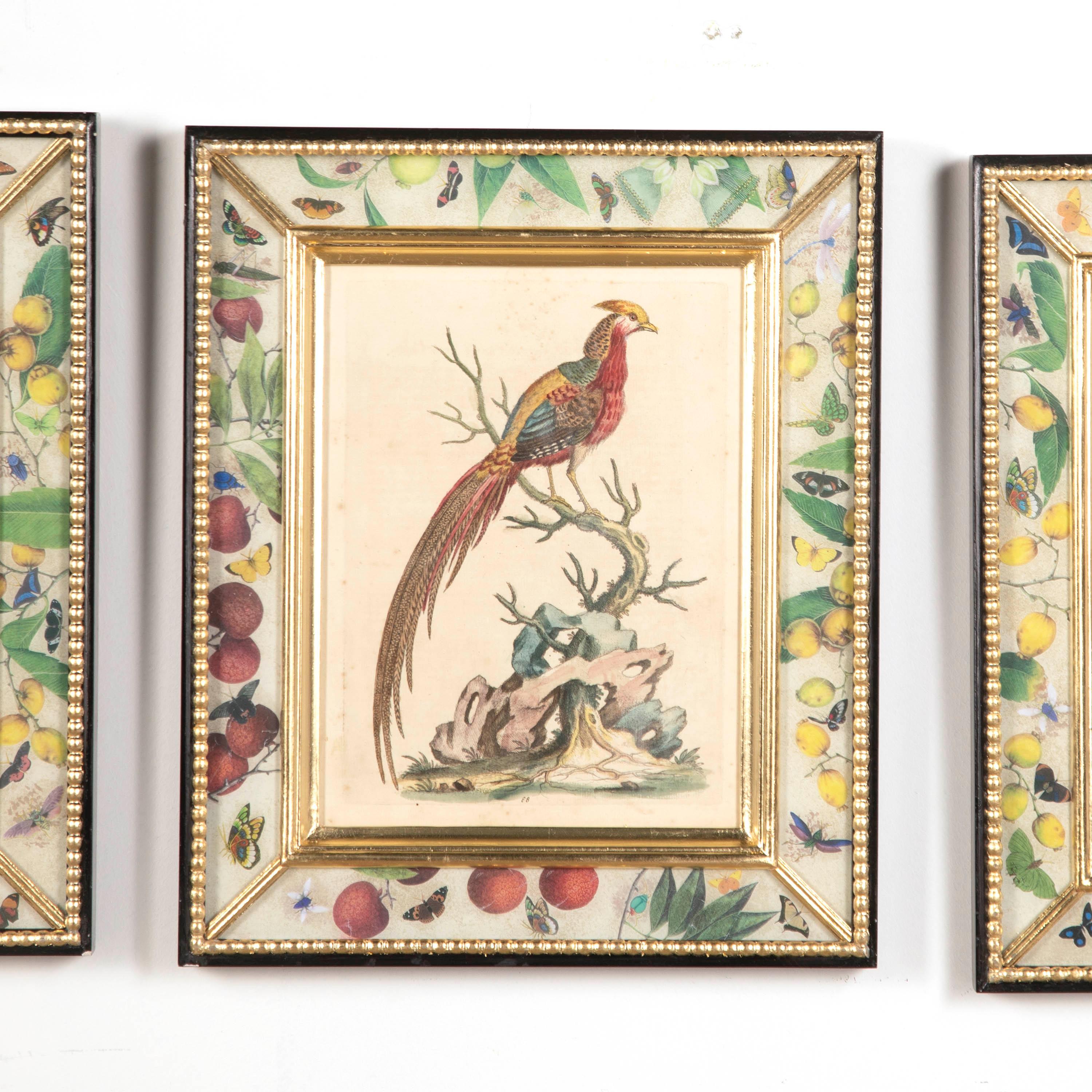 18th Century Engravings of Birds by George Edwards In Good Condition In Gloucestershire, GB