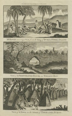 18th Century Engravings of Exploration: Banks, Tolago Bay, Terra del Fuego, 1790