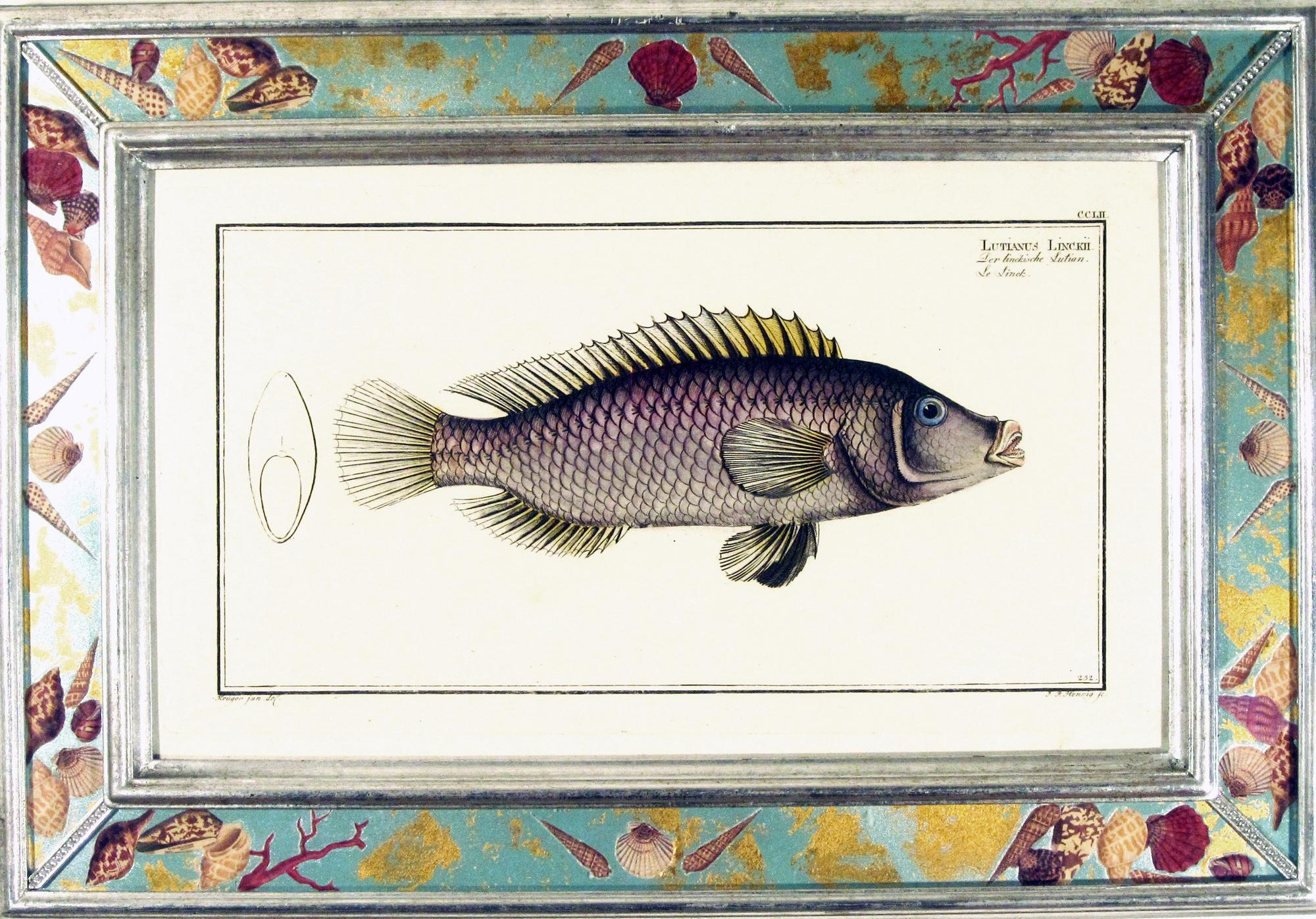 Georgien Gravures de poissons du 18e siècle par Marcus Bloch en vente