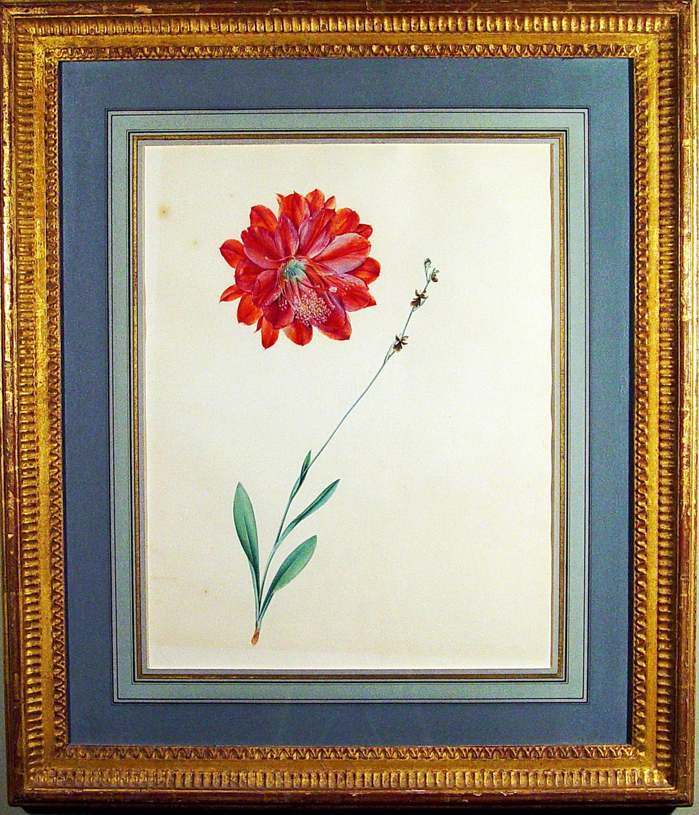 flowers gouache