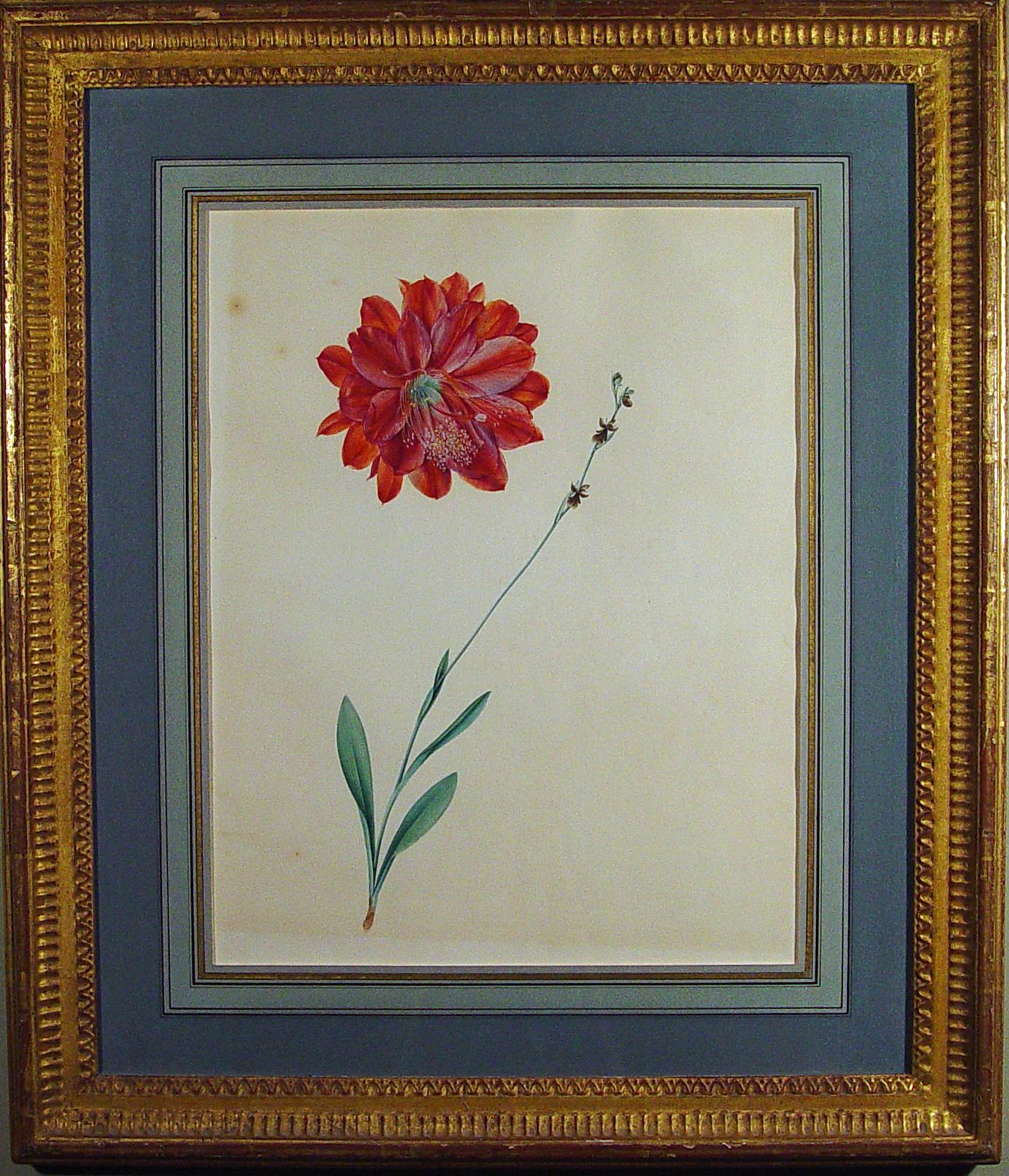 gouache flower painting