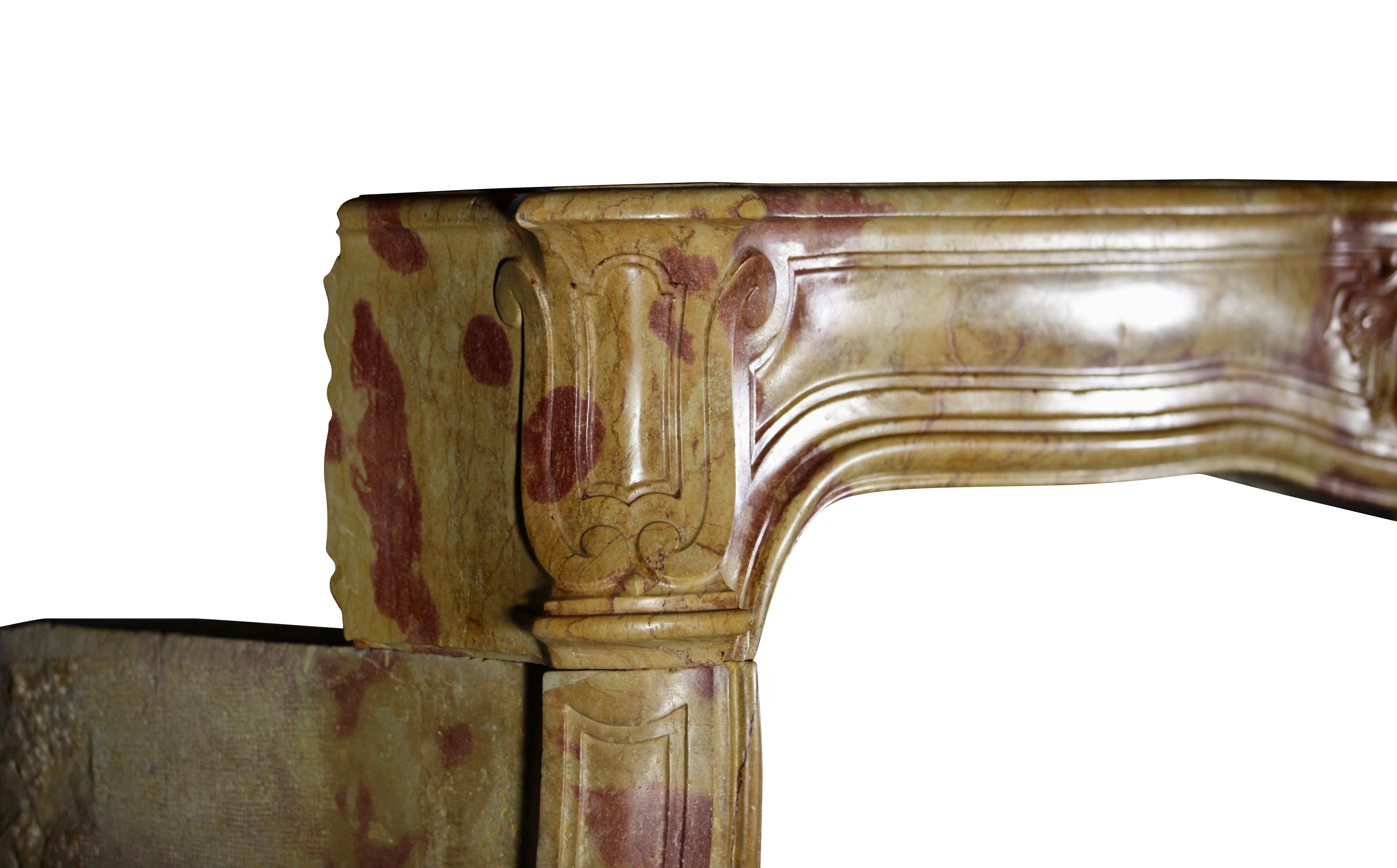 18th Century Fine French Bicolor Marble Hard Stone Antique Fireplace Mantle For Sale 11