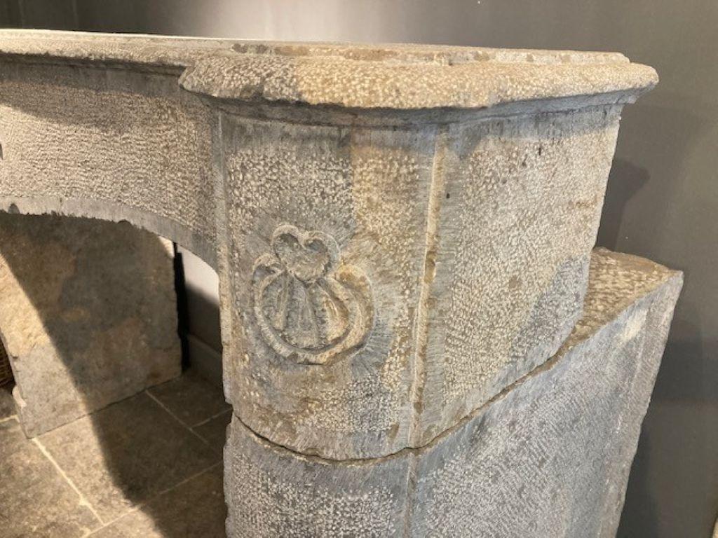 Carved 18th Century Fireplace Mantel in Grey Burgundy Stone For Sale