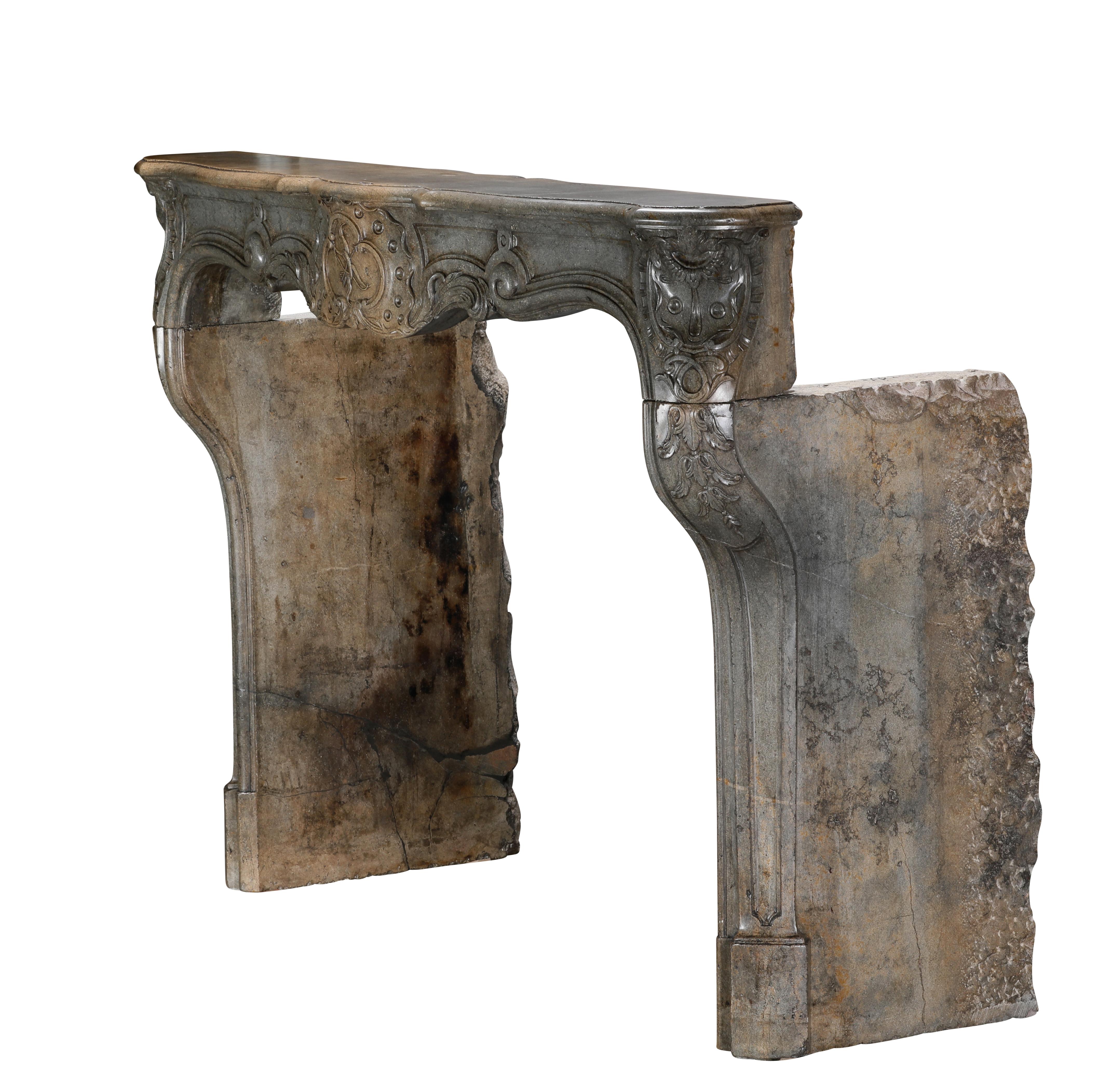 18th Century Fireplace Surround In Bicolour Stone From French Demeure For Sale 10