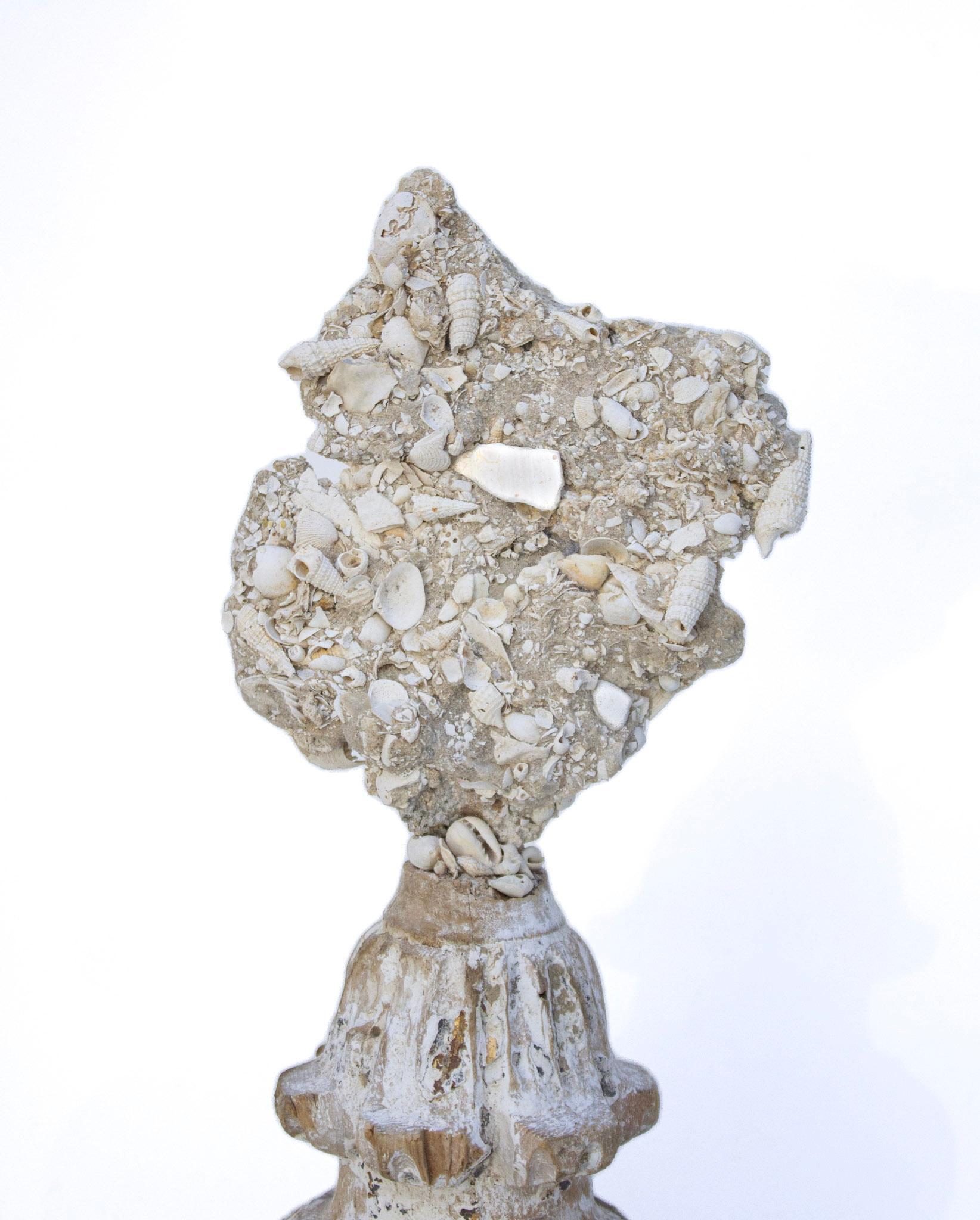 Rococo 18th Century 'Florence Fragment' Base with Fossil Shells in Matrix For Sale