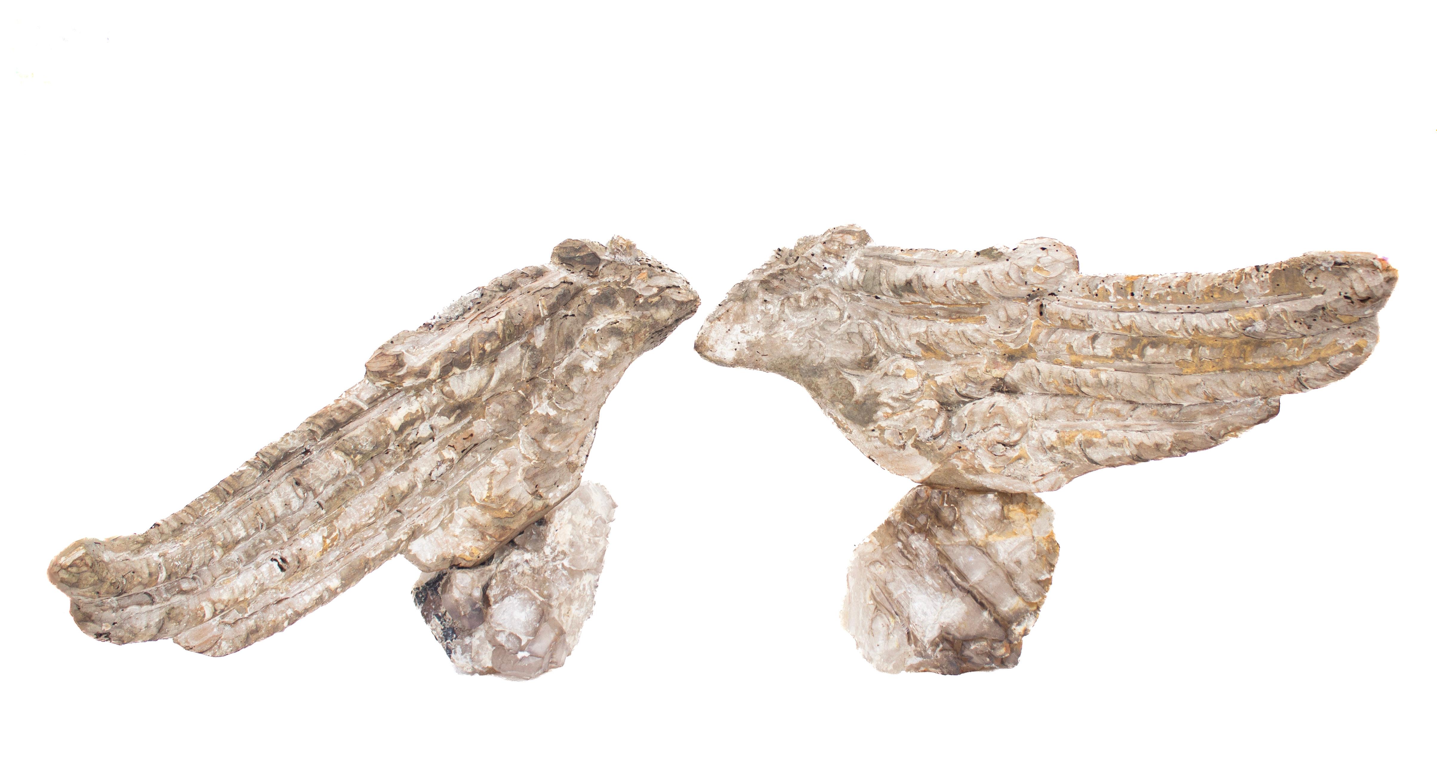Pair of 18th century of Italian angel wings mounted on a coordinating elestial quartz crystal base.

These fragments are from a church in Florence. They were found and saved from the historic flooding of the Arno River in 1966. The pair is to pay