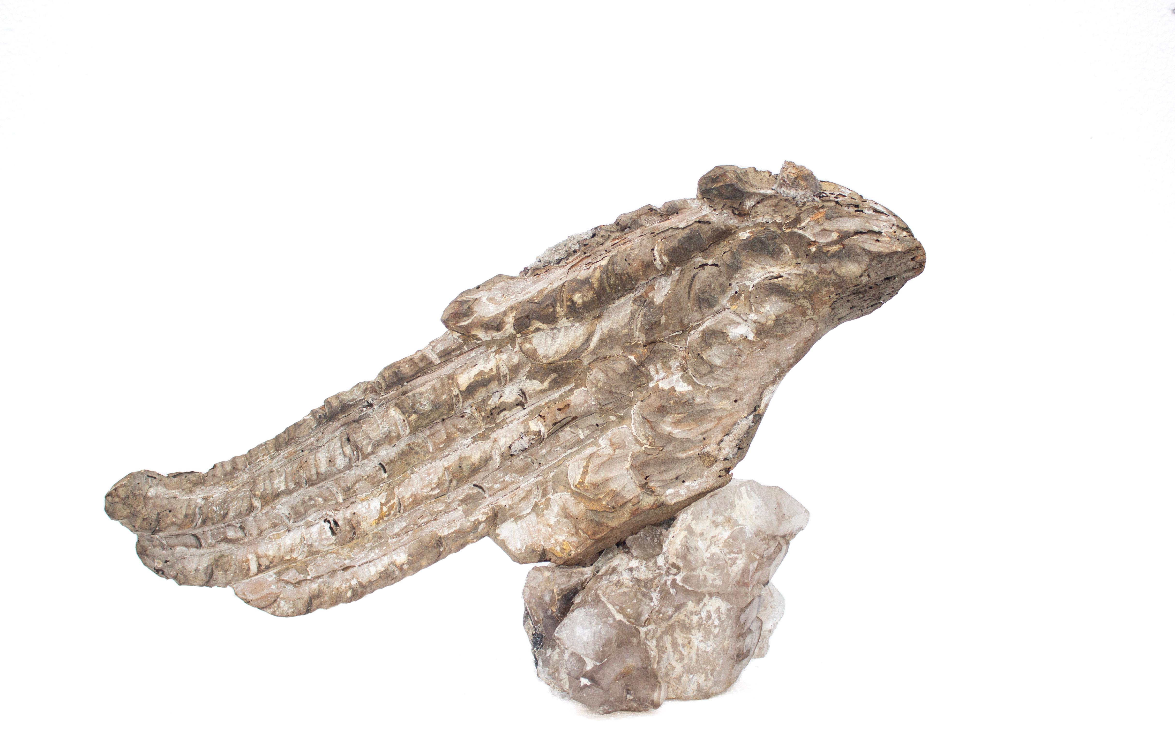 Rock Crystal Pair of 18th Century 'Florence Fragment' Rococo Angle Wings on Elestial Quartz