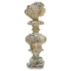 18th Century 'Florence Fragment' with a Chesapecten Shell and Fossil Barnacles