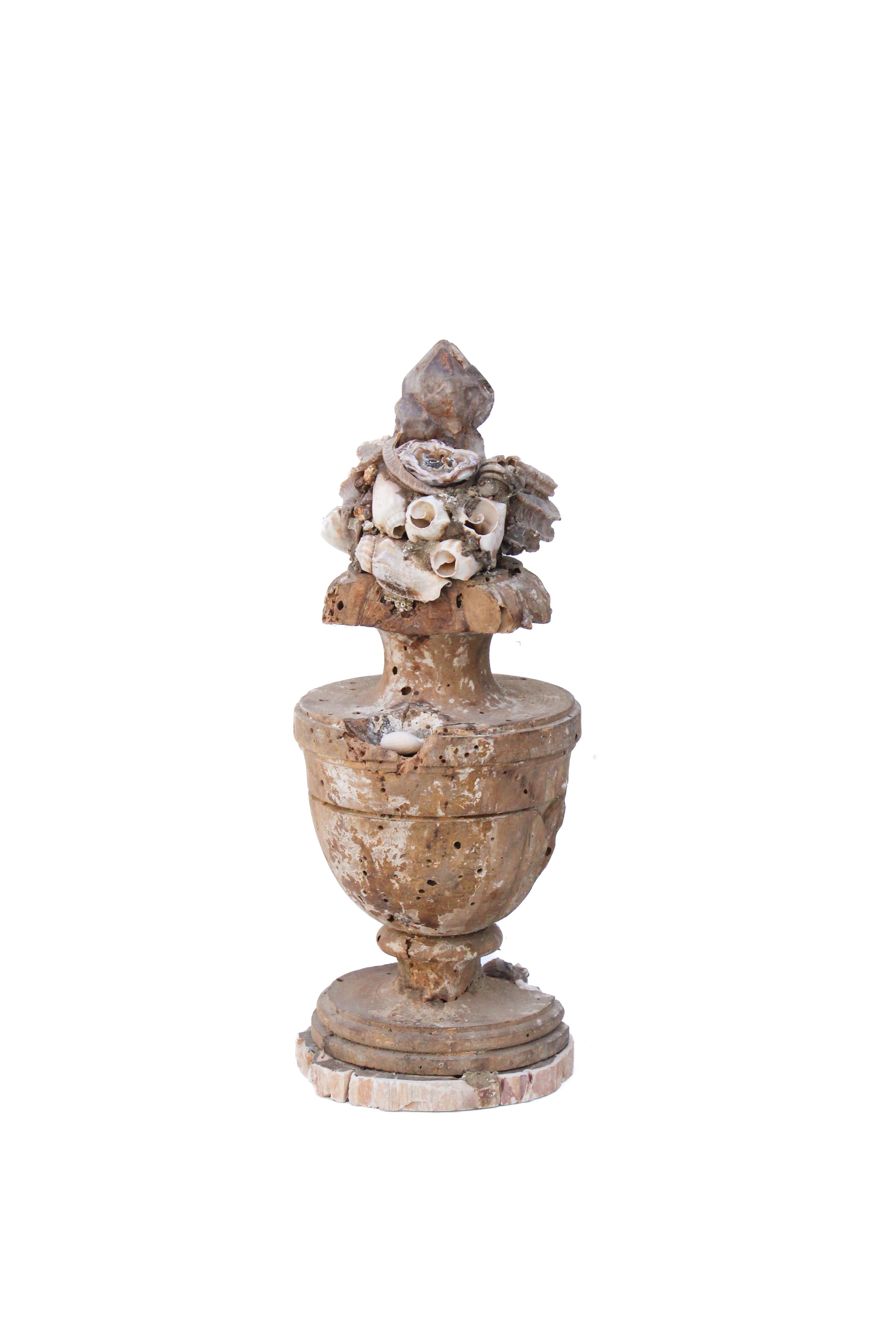 18th Century 'Florence Fragment' with Elestial Quartz and Ecphora Shells For Sale 2