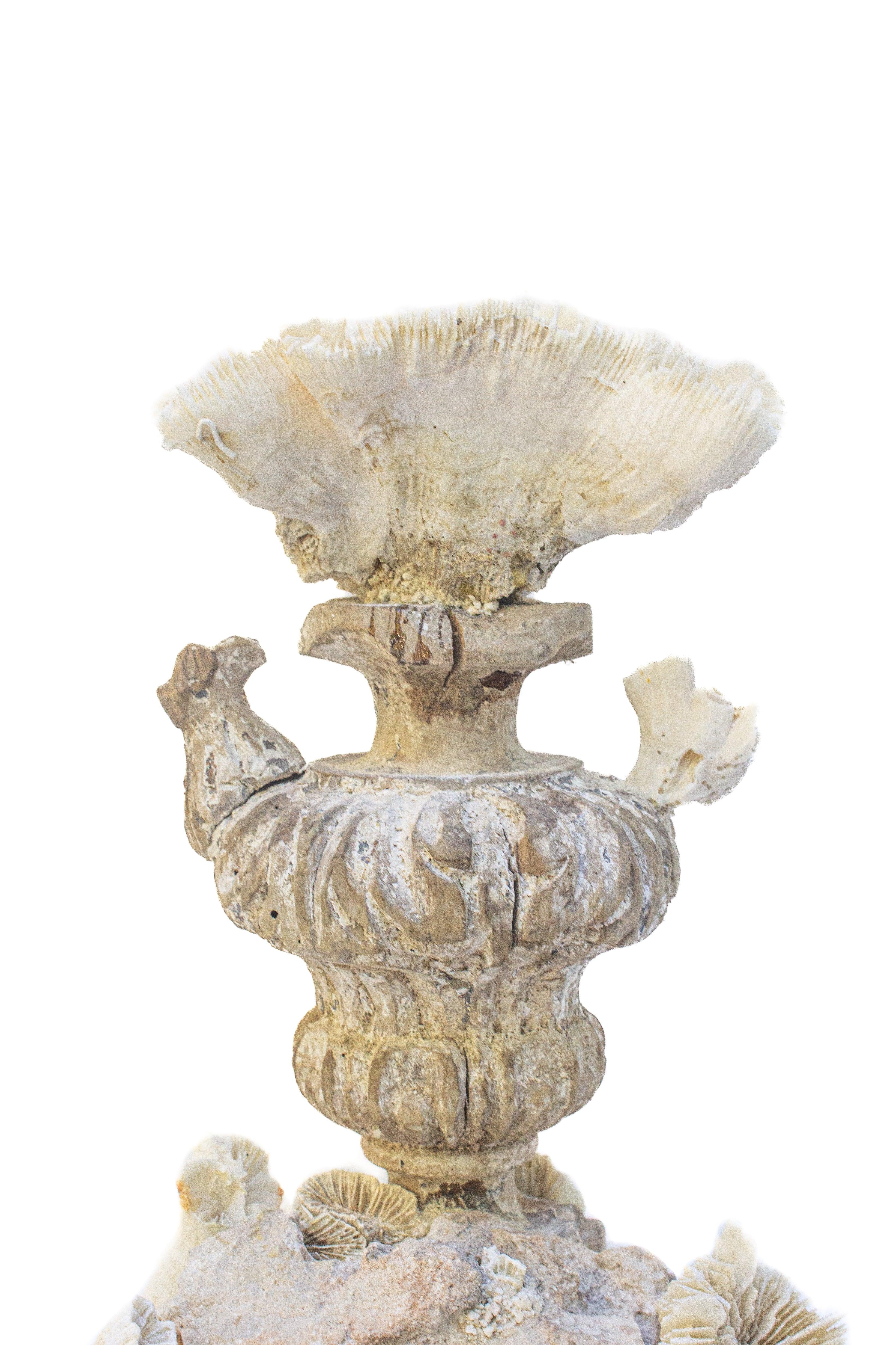 Rococo Fragment de fleur avec corail fossile sur un grappe de corail fossile du 18e siècle en vente