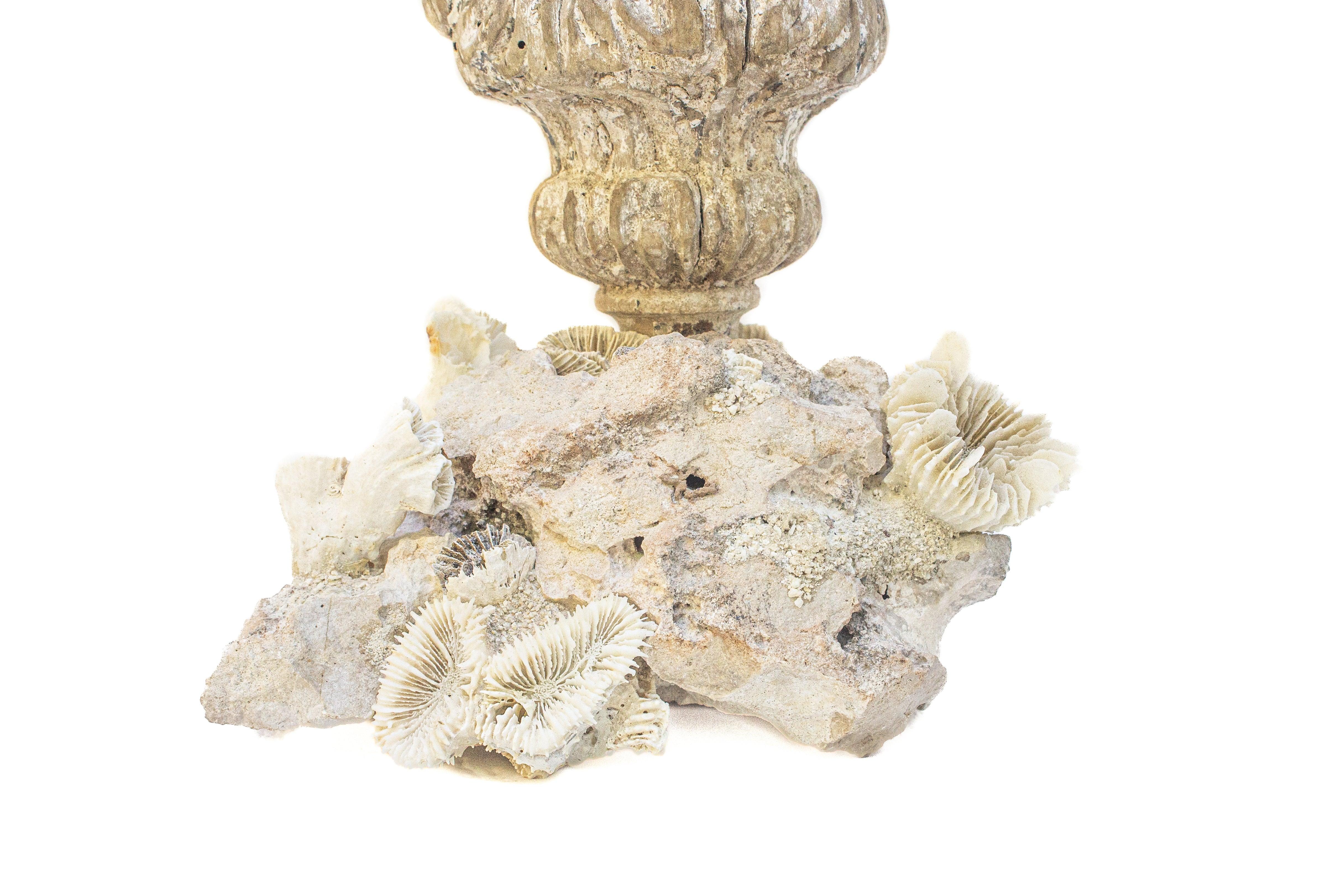 Blumenfragment aus dem 18. Jahrhundert mit versteinerter Koralle auf einem Fossil-Korallen-Cluster (Italienisch) im Angebot