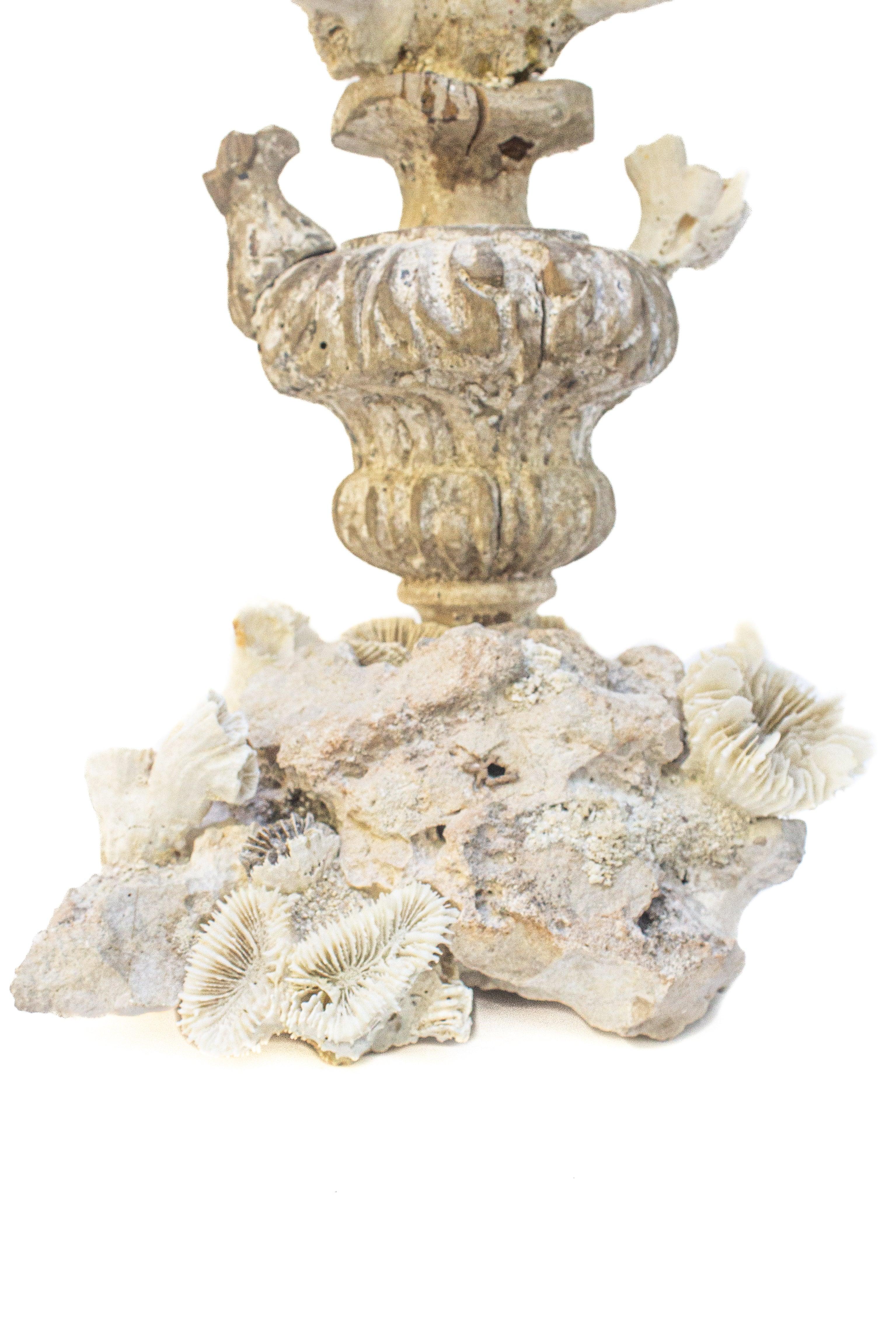 Sculpté à la main Fragment de fleur avec corail fossile sur un grappe de corail fossile du 18e siècle en vente