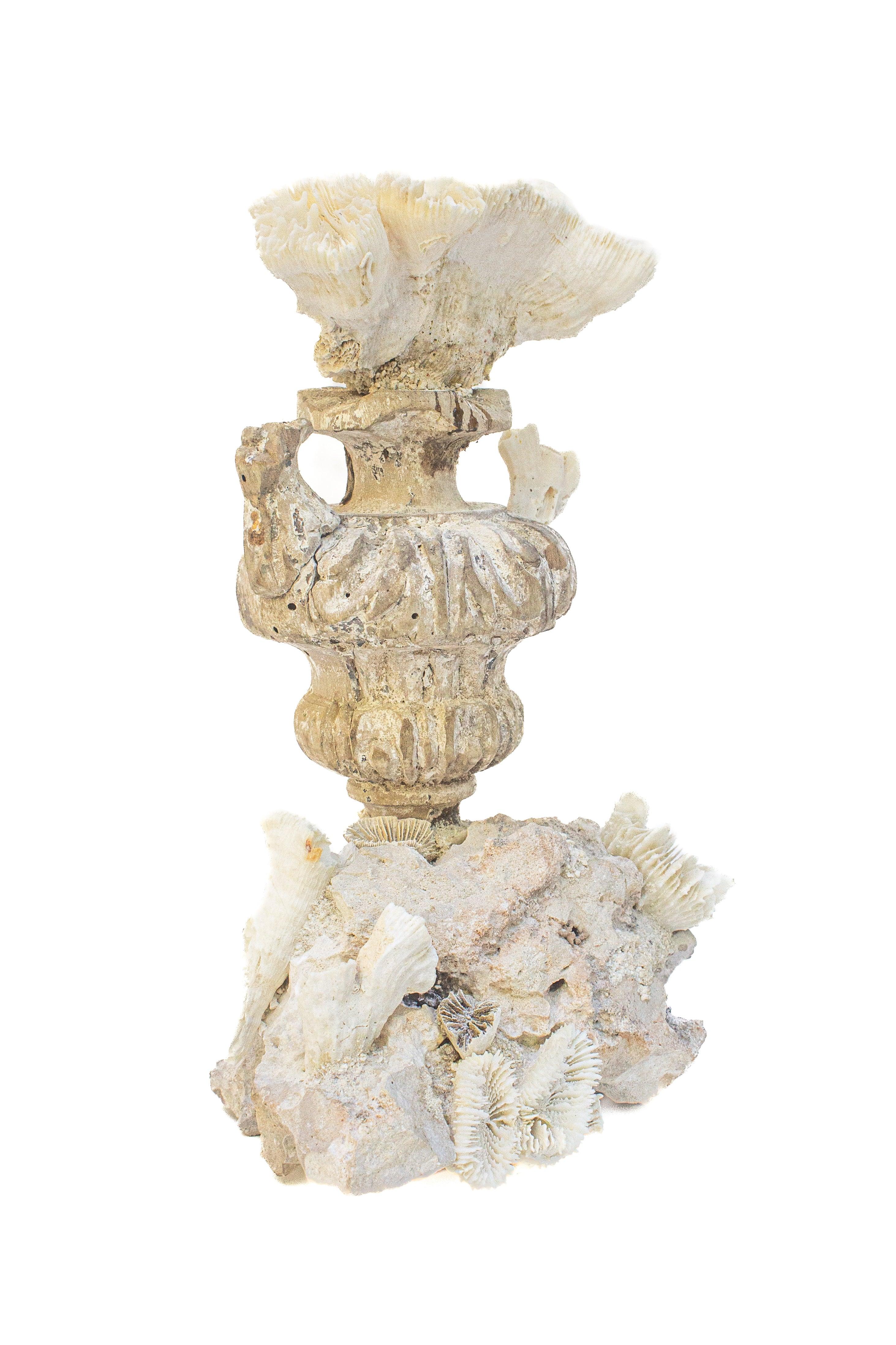 XVIIIe siècle et antérieur Fragment de fleur avec corail fossile sur un grappe de corail fossile du 18e siècle en vente