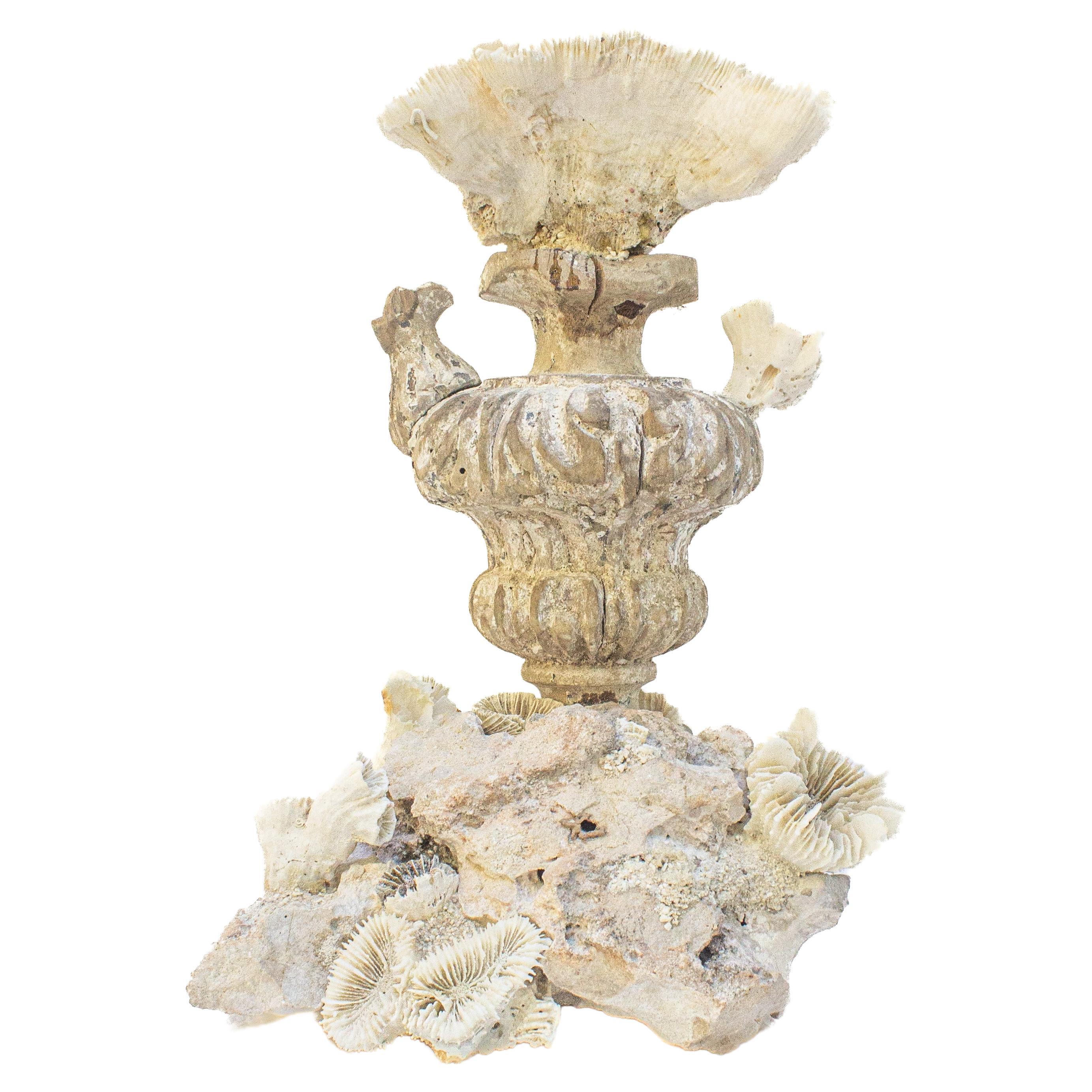 18th Century 'Florence Fragment' with Fossil Coral on a Fossil Coral Cluster For Sale