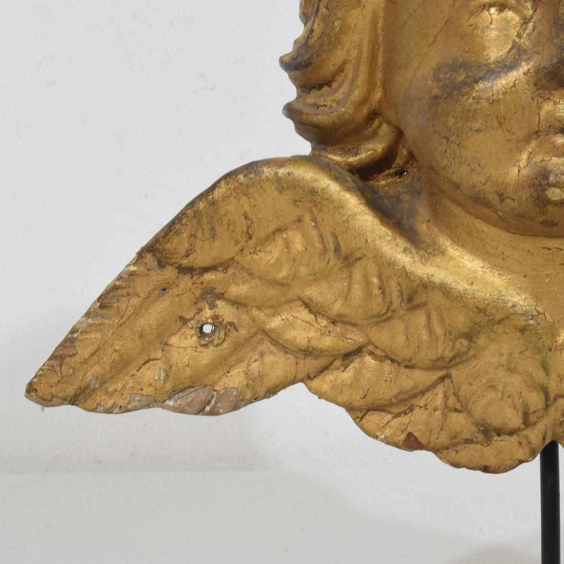 Tête d'ange en bois doré sculpté du XVIIIe siècle, de style baroque français en vente 6