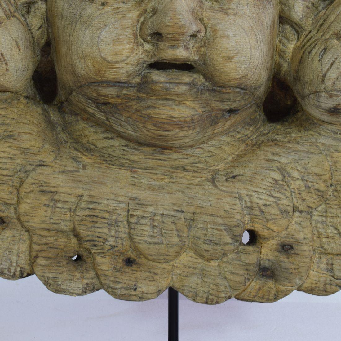 18th Century French Baroque Carved Oak Angel Head on a Wing 6