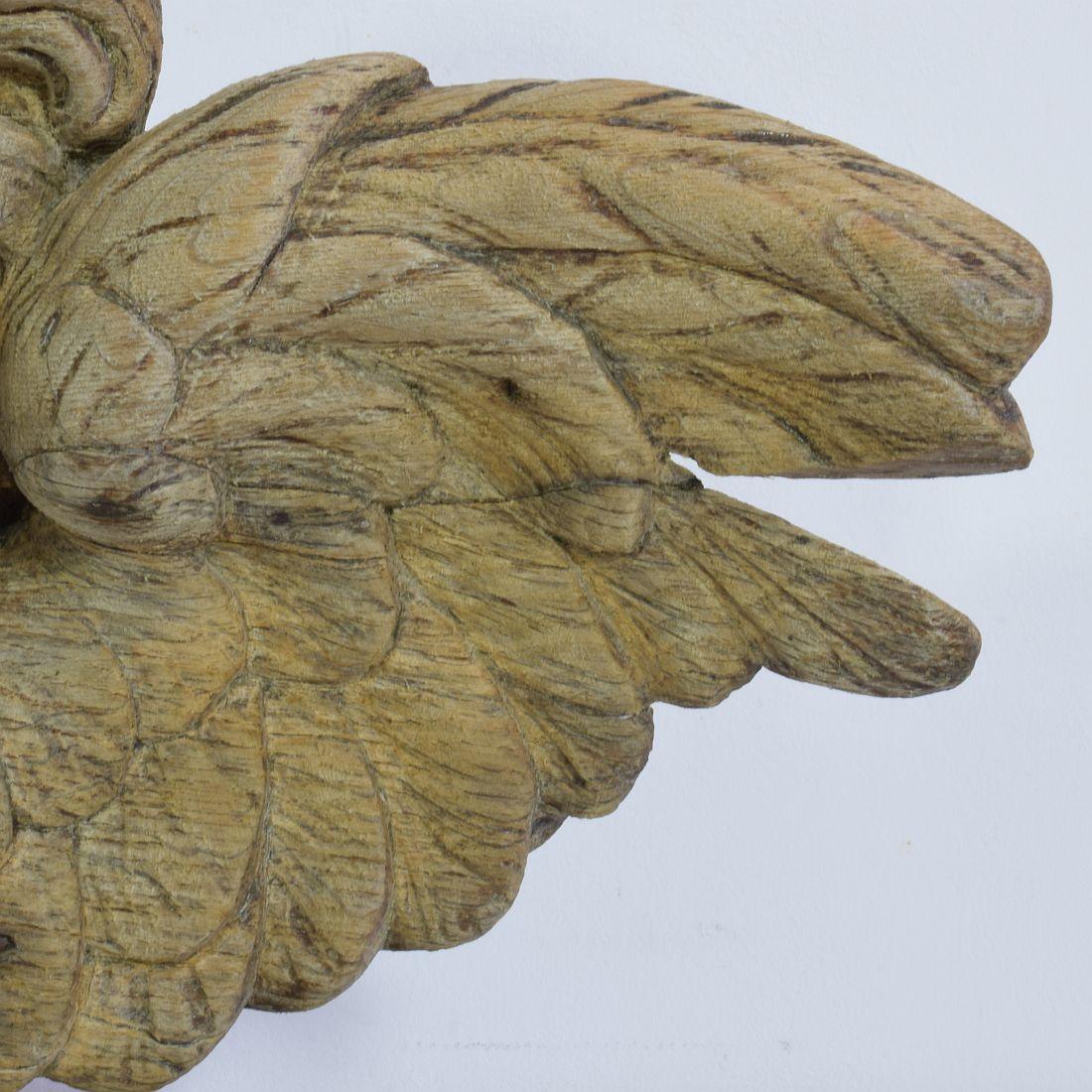 18th Century French Baroque Carved Oak Angel Head on a Wing 7