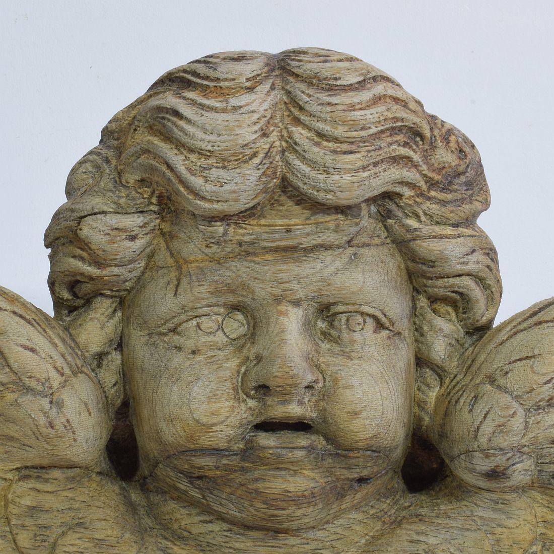 18th Century French Baroque Carved Oak Angel Head on a Wing 2
