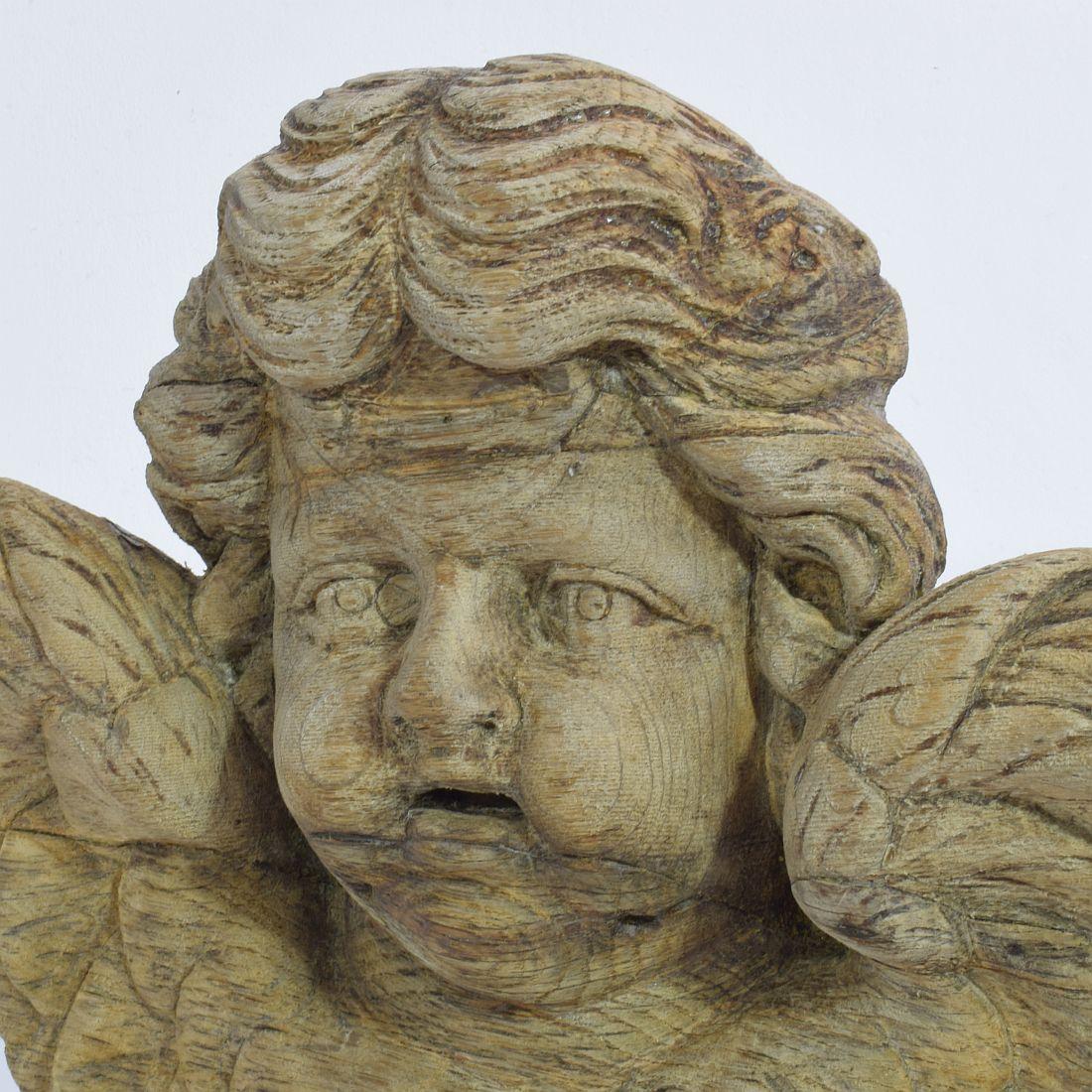 18th Century French Baroque Carved Oak Angel Head on a Wing 3