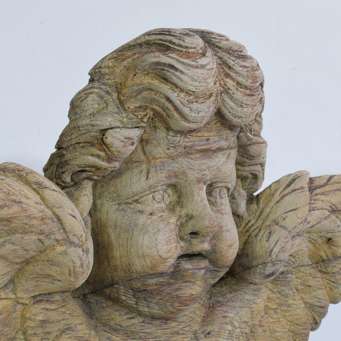 18th Century French Baroque Carved Oak Angel Head on a Wing 4