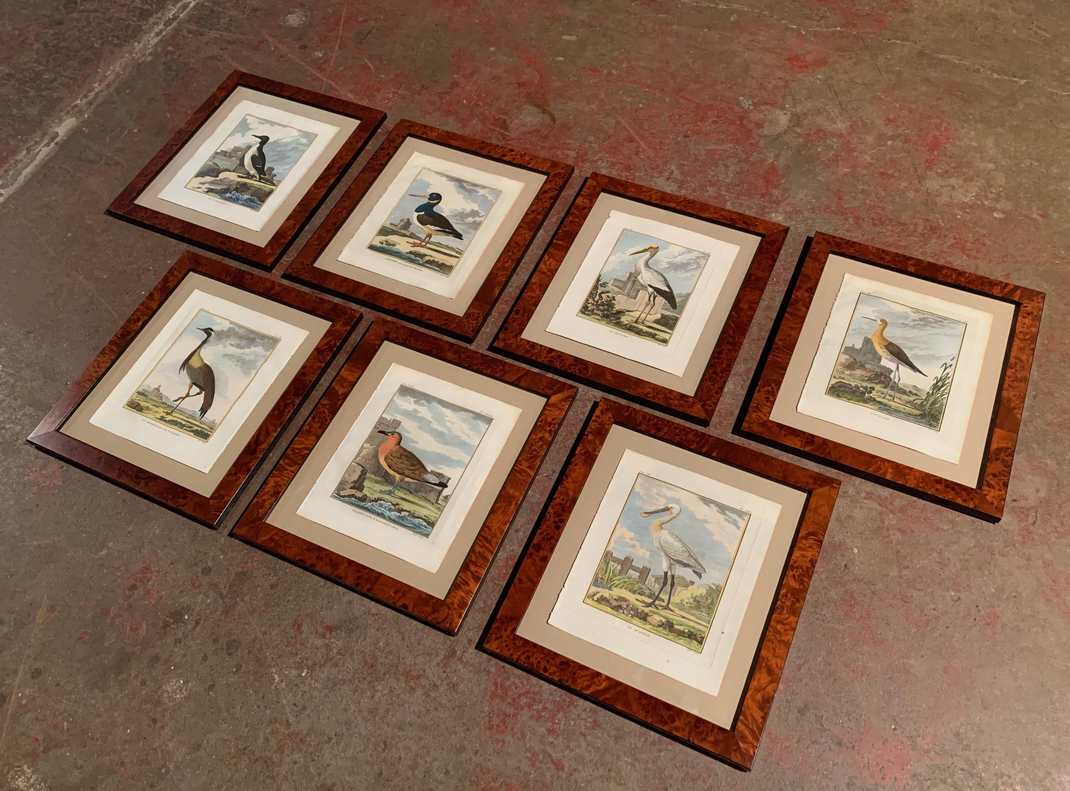 Decorate a study or a library with this set of colorful bird frames; painted in France circa 1780, the seven antique pictures are newly framed with protective glass. Each watercolor features a rare bird titled with its French name; it includes