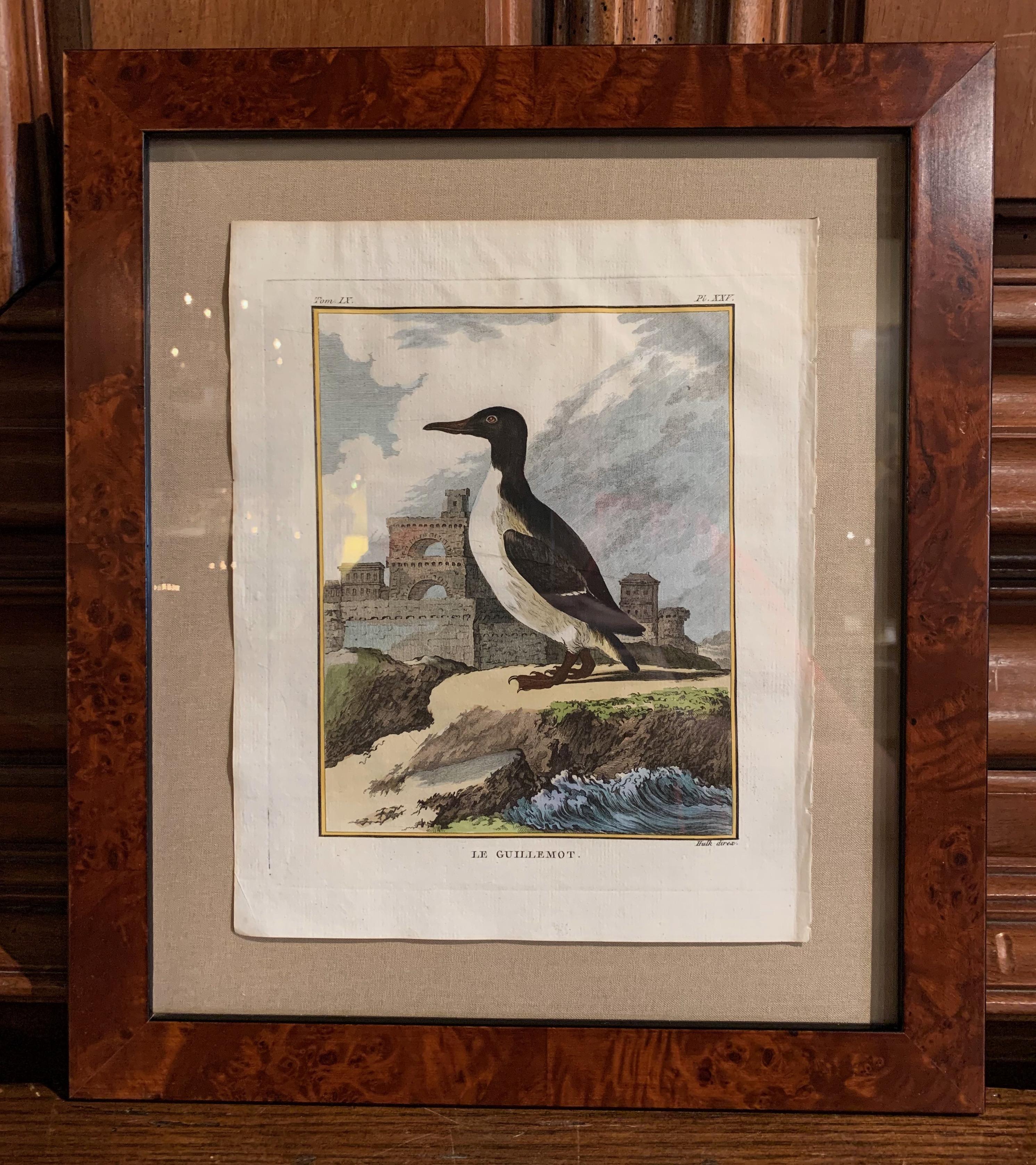 18th Century French Bird Watercolors Wall Pictures, Set of Seven Frames In Excellent Condition In Dallas, TX