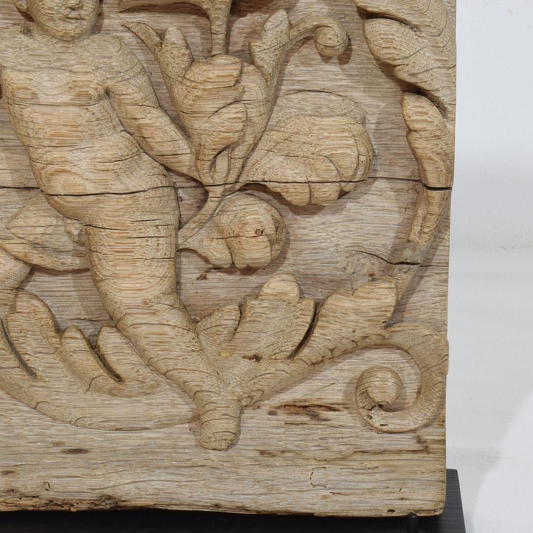 Panneau en chêne sculpté français du XVIIIe siècle représentant un ange sur une boucle d'Acanthus en vente 2