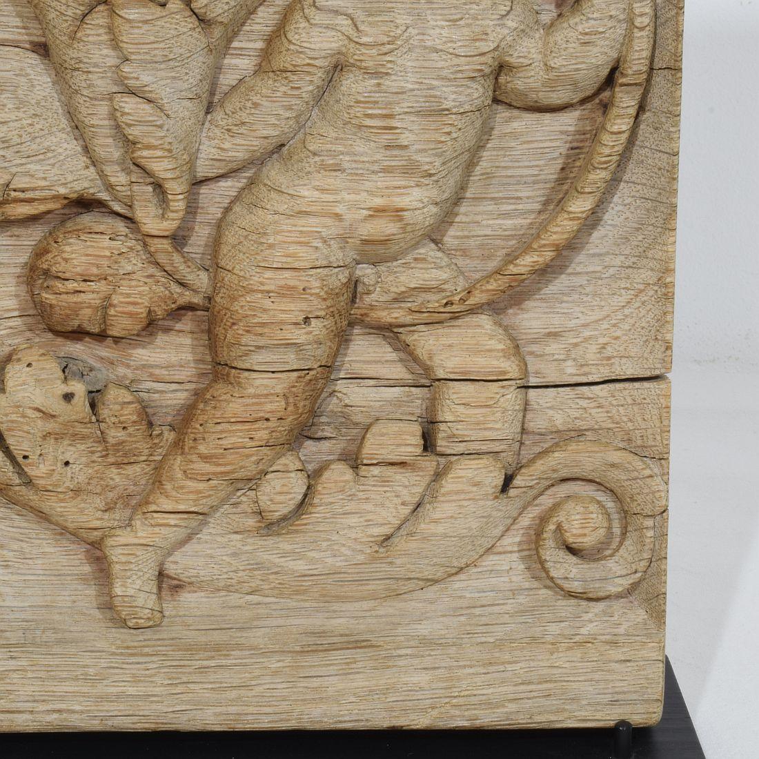 18th Century French Carved Oak Panel Depicting An Angel On An Acanthus Curl For Sale 4