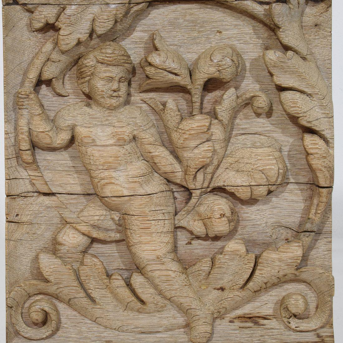 Panneau en chêne sculpté français du XVIIIe siècle représentant un ange sur une boucle d'Acanthus en vente 3