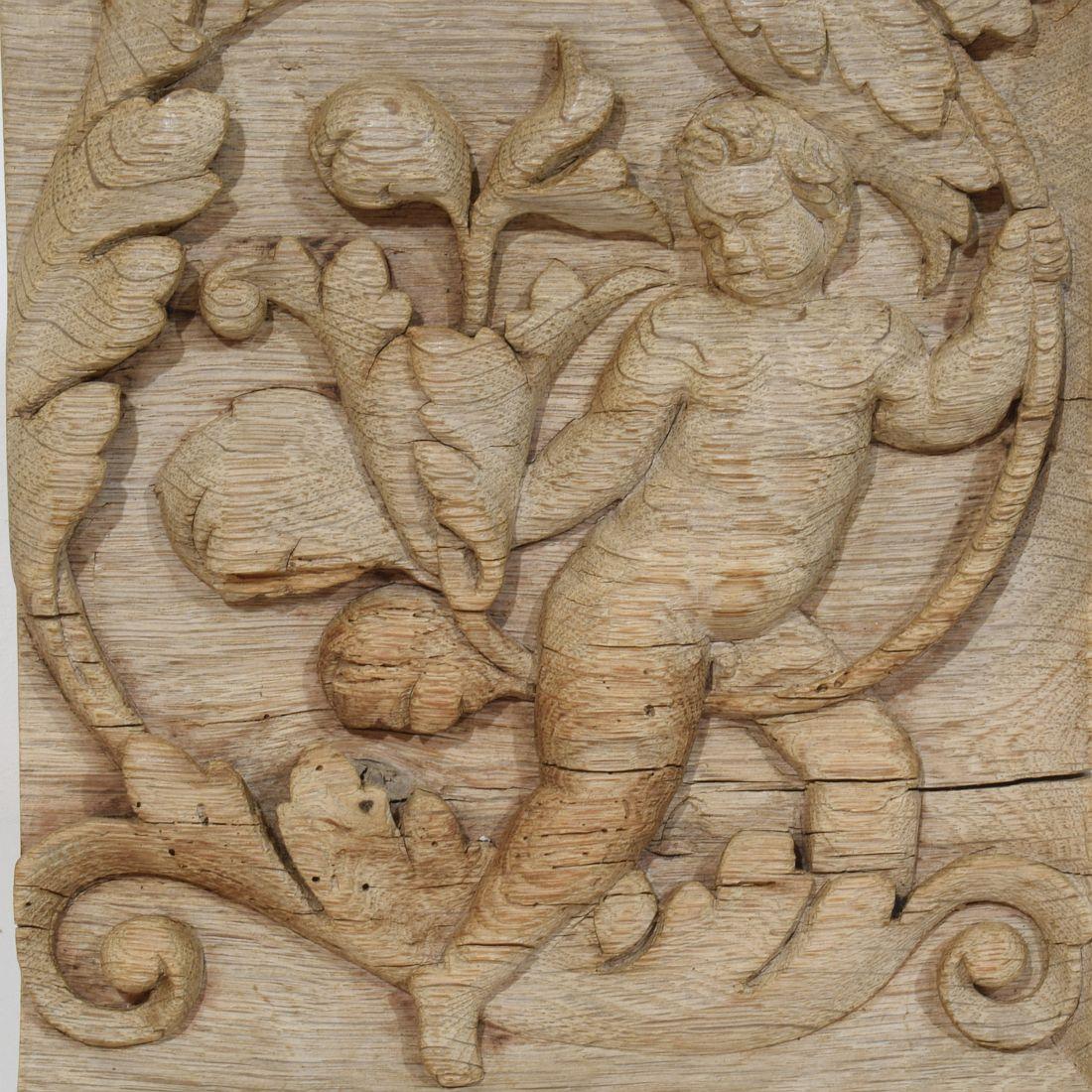 18th Century French Carved Oak Panel Depicting An Angel On An Acanthus Curl For Sale 5