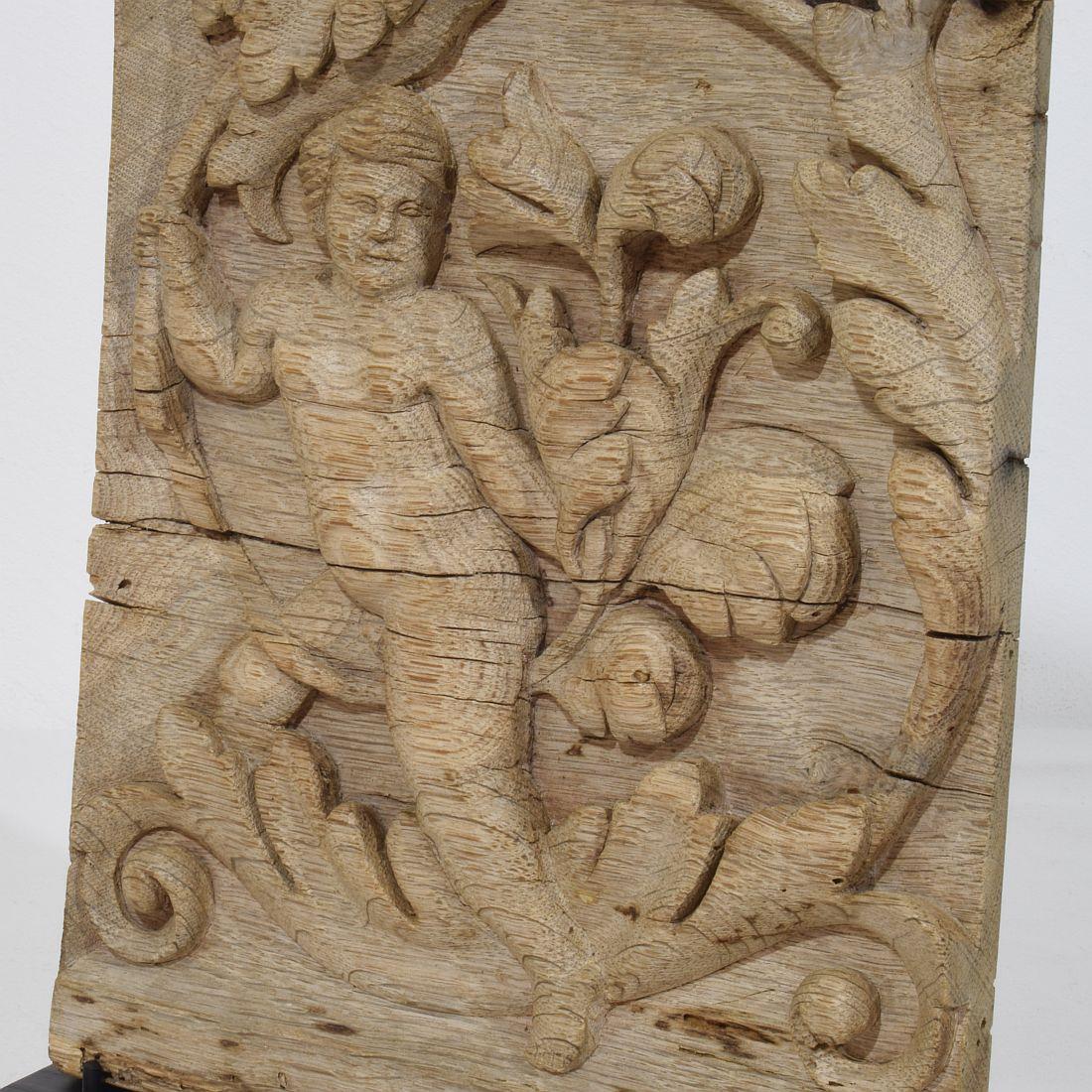 Panneau en chêne sculpté français du XVIIIe siècle représentant un ange sur une boucle d'Acanthus en vente 4