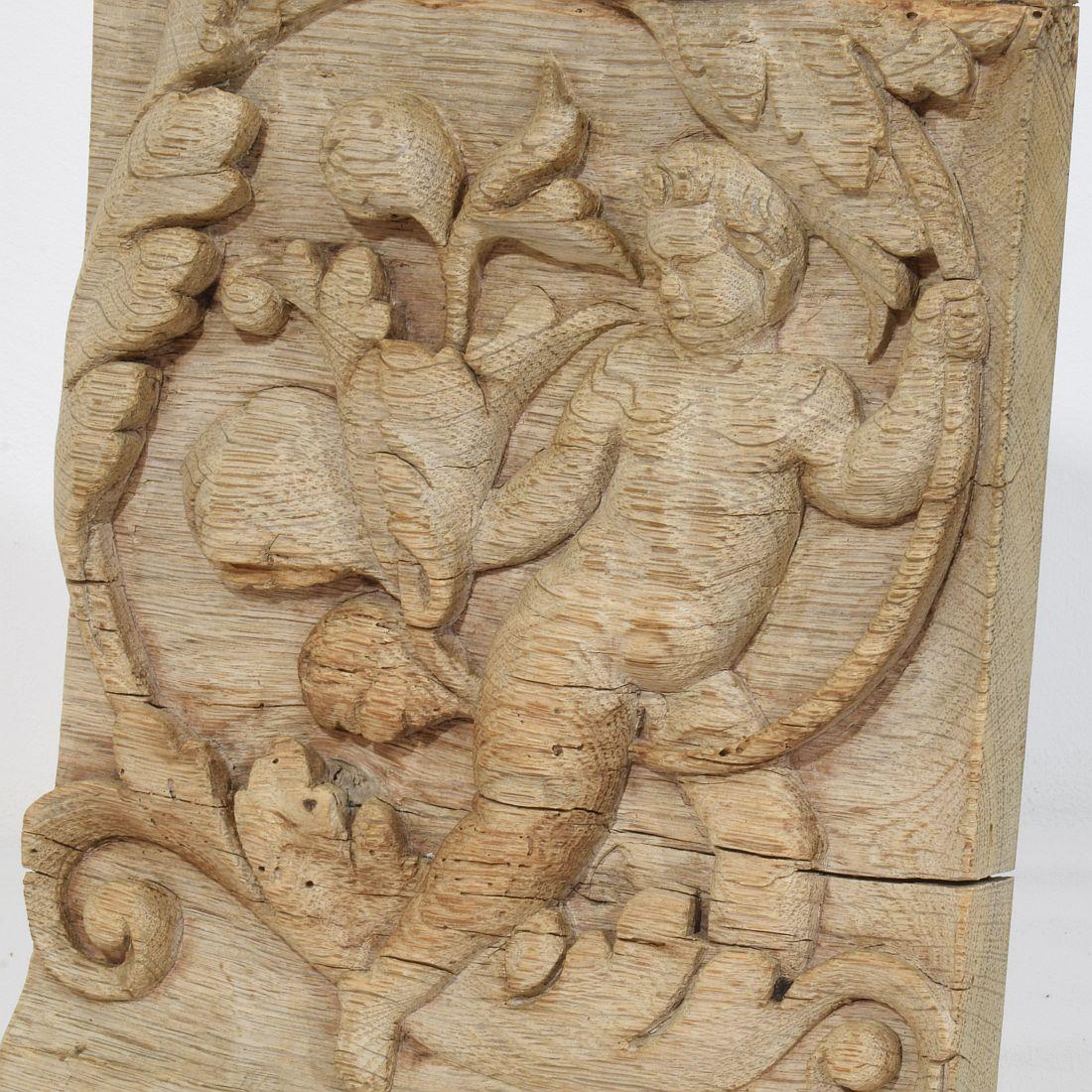 18th Century French Carved Oak Panel Depicting An Angel On An Acanthus Curl For Sale 6