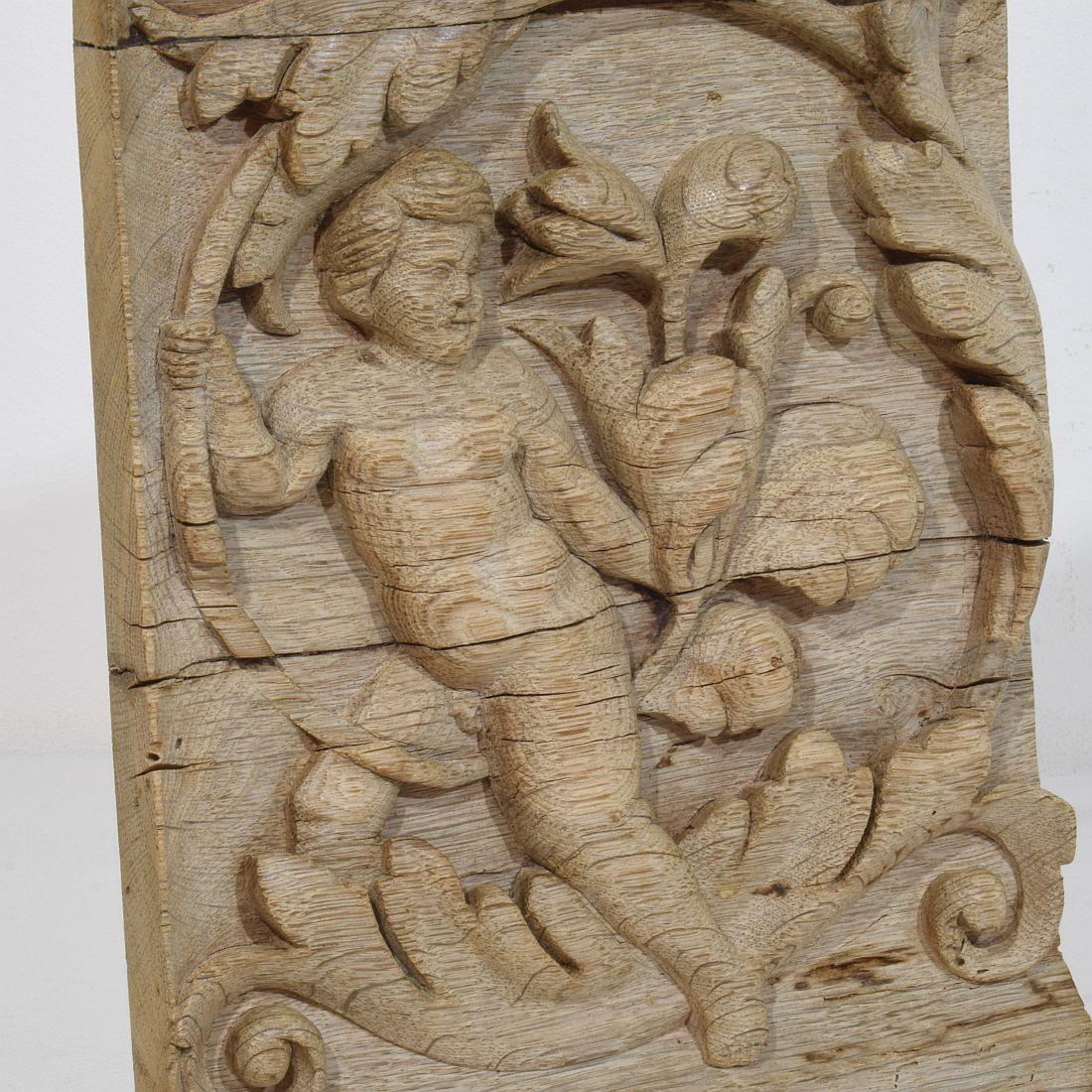 Panneau en chêne sculpté français du XVIIIe siècle représentant un ange sur une boucle d'Acanthus en vente 5