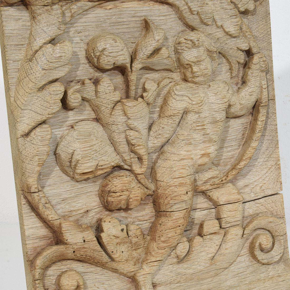18th Century French Carved Oak Panel Depicting An Angel On An Acanthus Curl For Sale 7