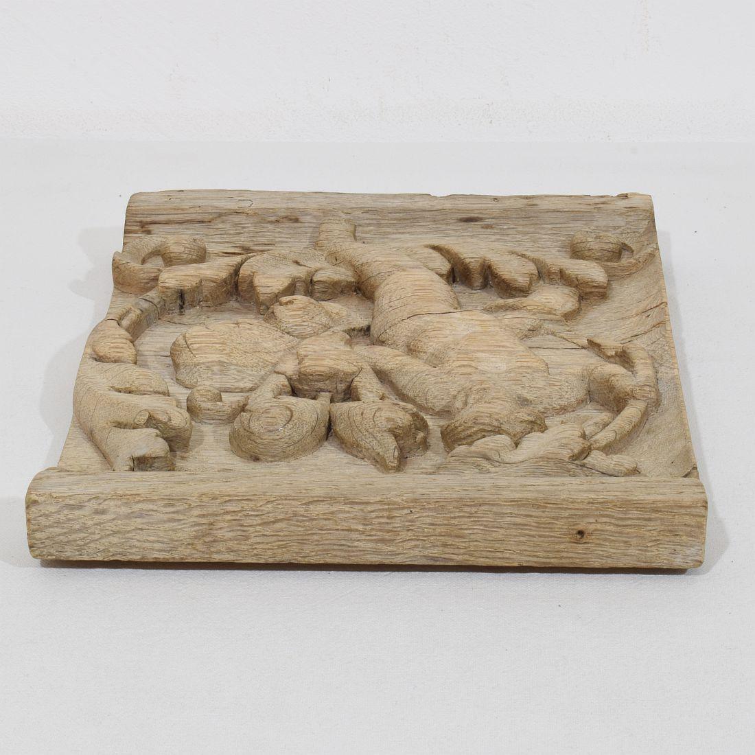 18. Jahrhundert Französisch geschnitzte Eiche Panel Darstellung eines Engels auf einem Acanthus Curl im Angebot 9