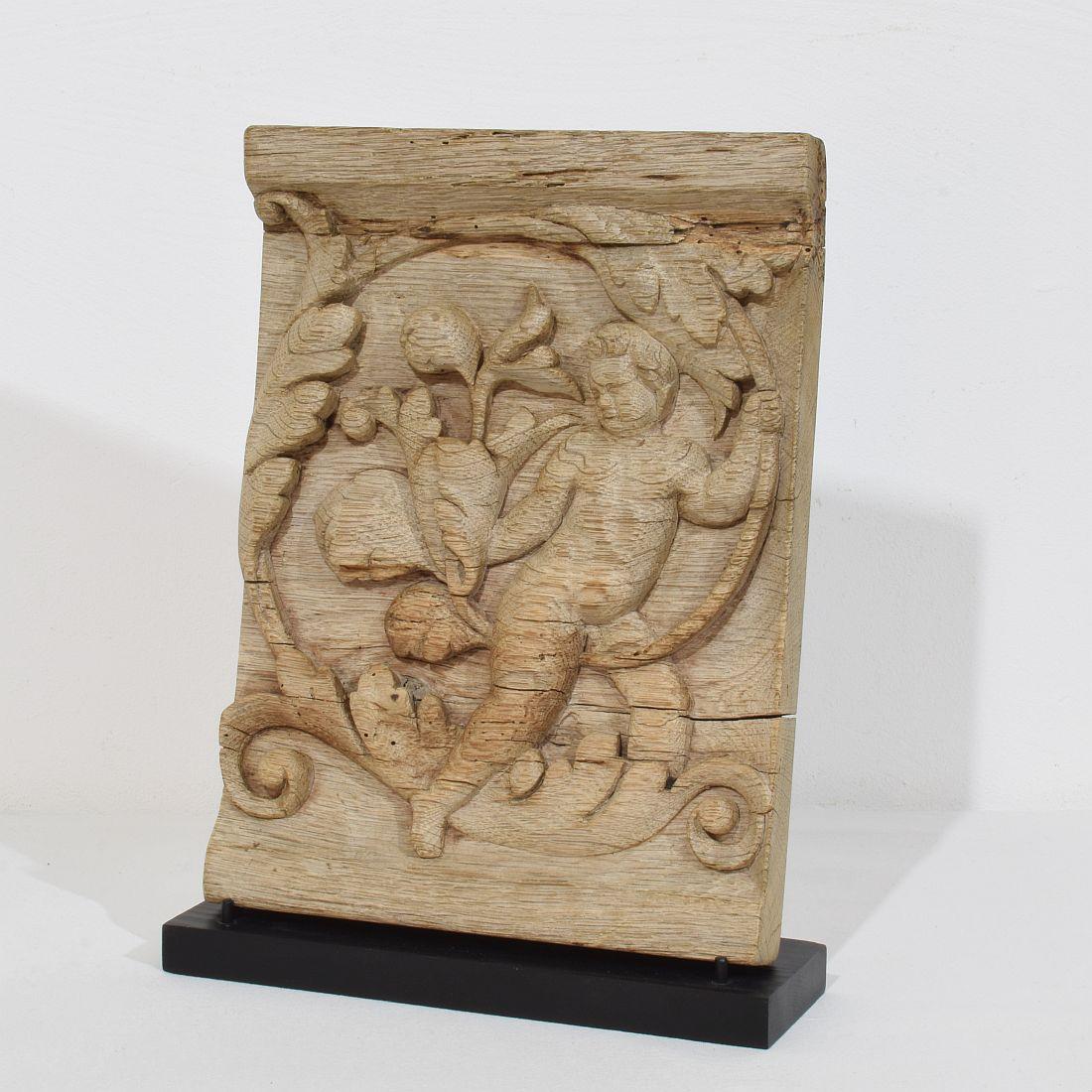 Beautiful weathered oak panel depicting a baroque angel on an acanthus curl.
Weathered and small losses, most likely it was once part of a larger panel.
France circa 1750. treated against wood worm.
Measurements include the wooden pedestal.
H:29cm 