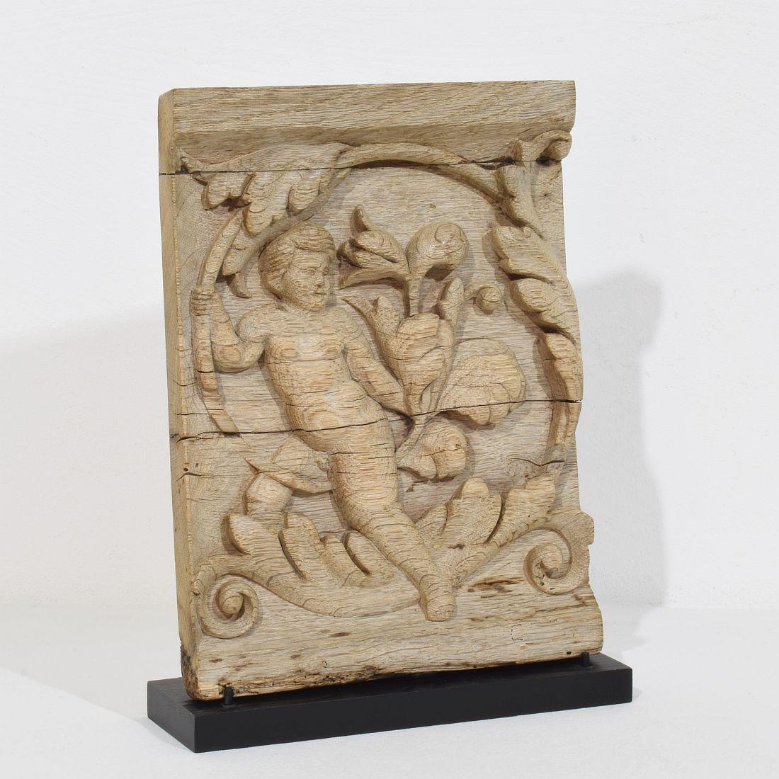 Baroque 18th Century French Carved Oak Panel Depicting An Angel On An Acanthus Curl For Sale