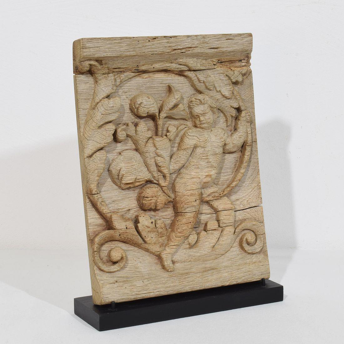 Baroque 18th Century French Carved Oak Panel Depicting An Angel On An Acanthus Curl For Sale