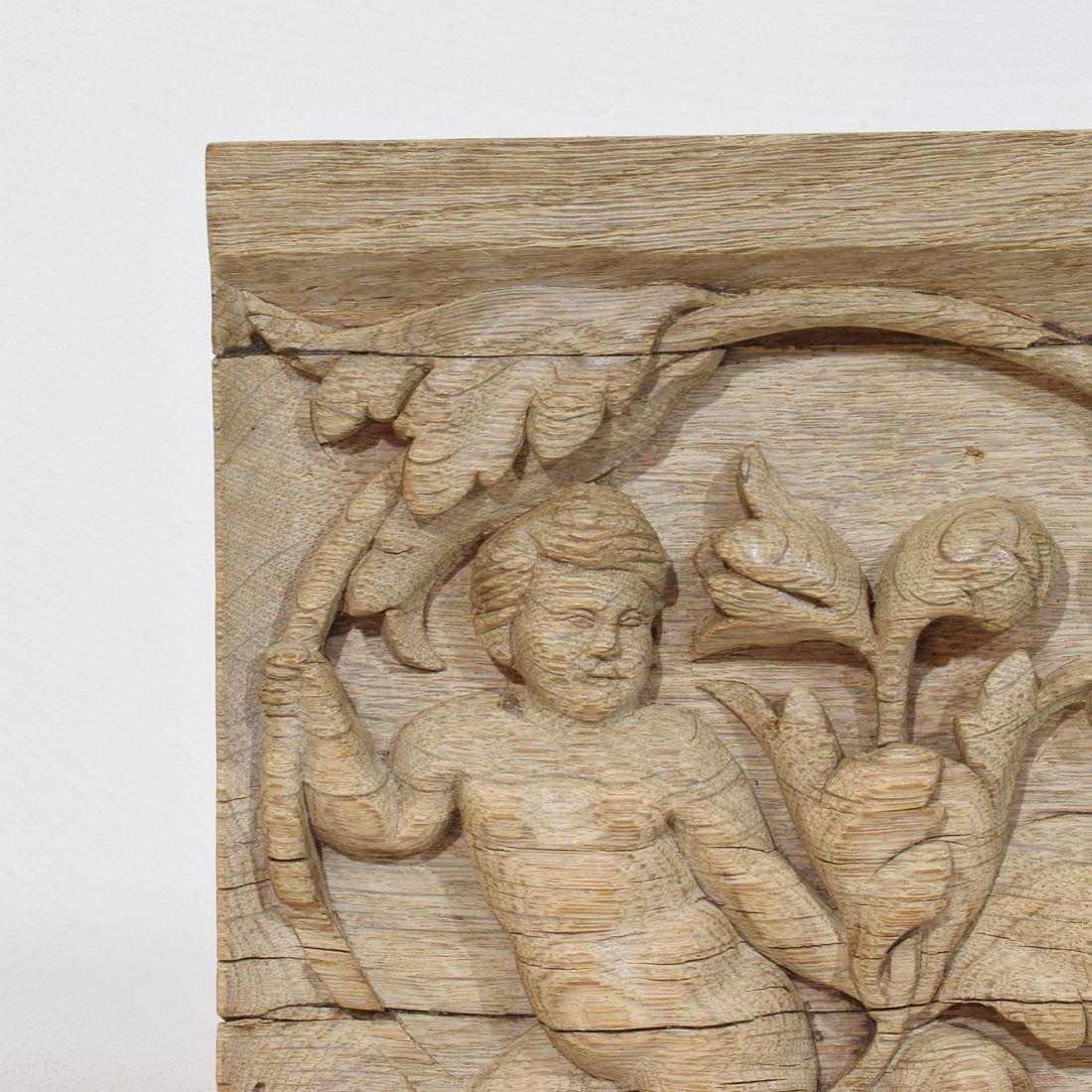 18th Century French Carved Oak Panel Depicting An Angel On An Acanthus Curl For Sale 1