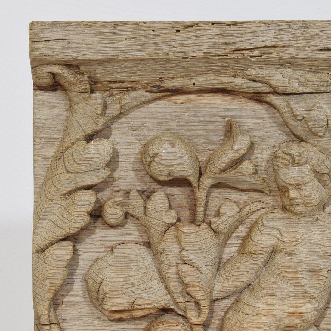 18th Century French Carved Oak Panel Depicting An Angel On An Acanthus Curl For Sale 1