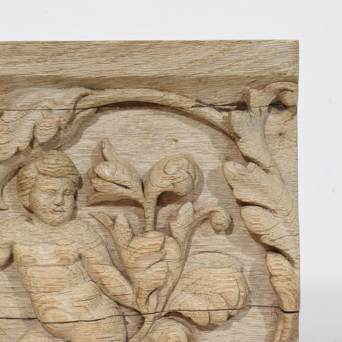 Chêne Panneau en chêne sculpté français du XVIIIe siècle représentant un ange sur une boucle d'Acanthus en vente