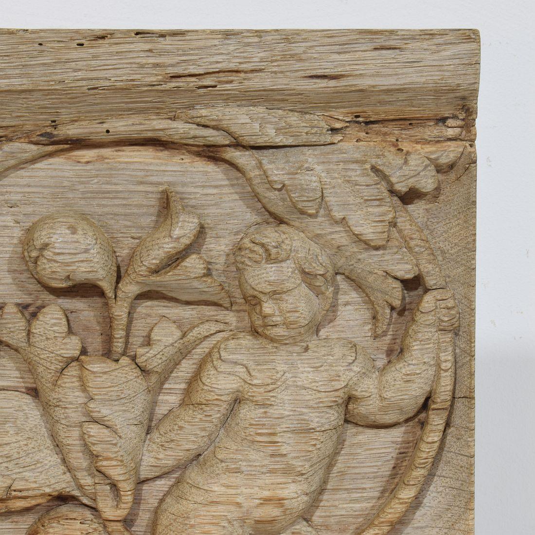 Chêne Panneau en chêne sculpté français du XVIIIe siècle représentant un ange sur une boucle d'Acanthus en vente