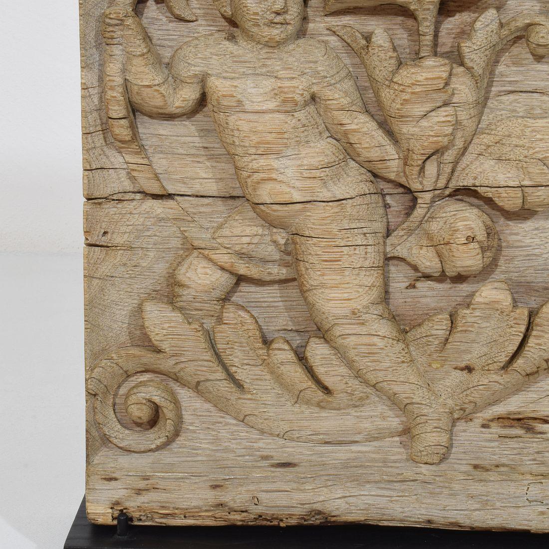 Panneau en chêne sculpté français du XVIIIe siècle représentant un ange sur une boucle d'Acanthus en vente 1
