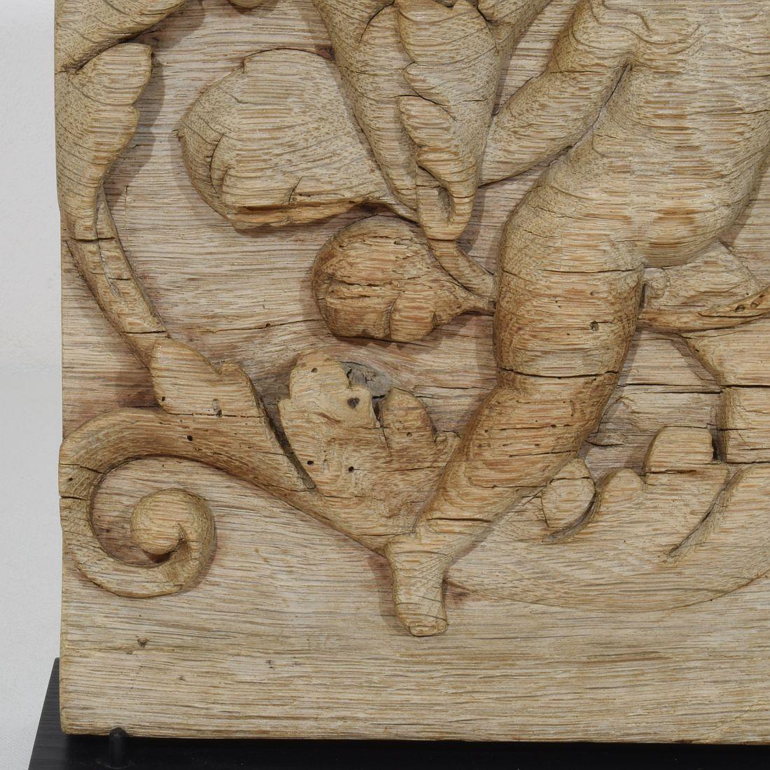 18th Century French Carved Oak Panel Depicting An Angel On An Acanthus Curl For Sale 3