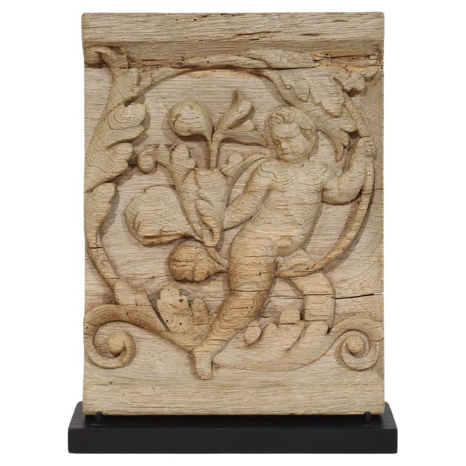 18th Century French Carved Oak Panel Depicting An Angel On An Acanthus Curl For Sale