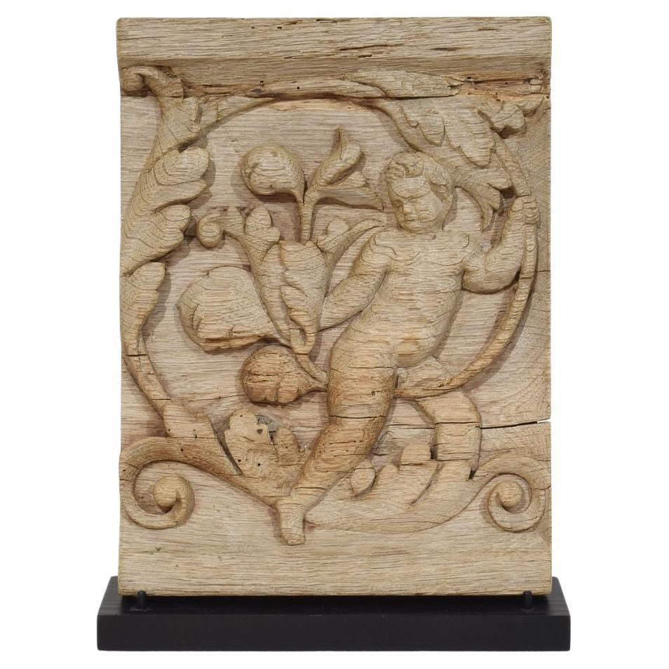18th Century French Carved Oak Panel Depicting An Angel On An Acanthus Curl For Sale