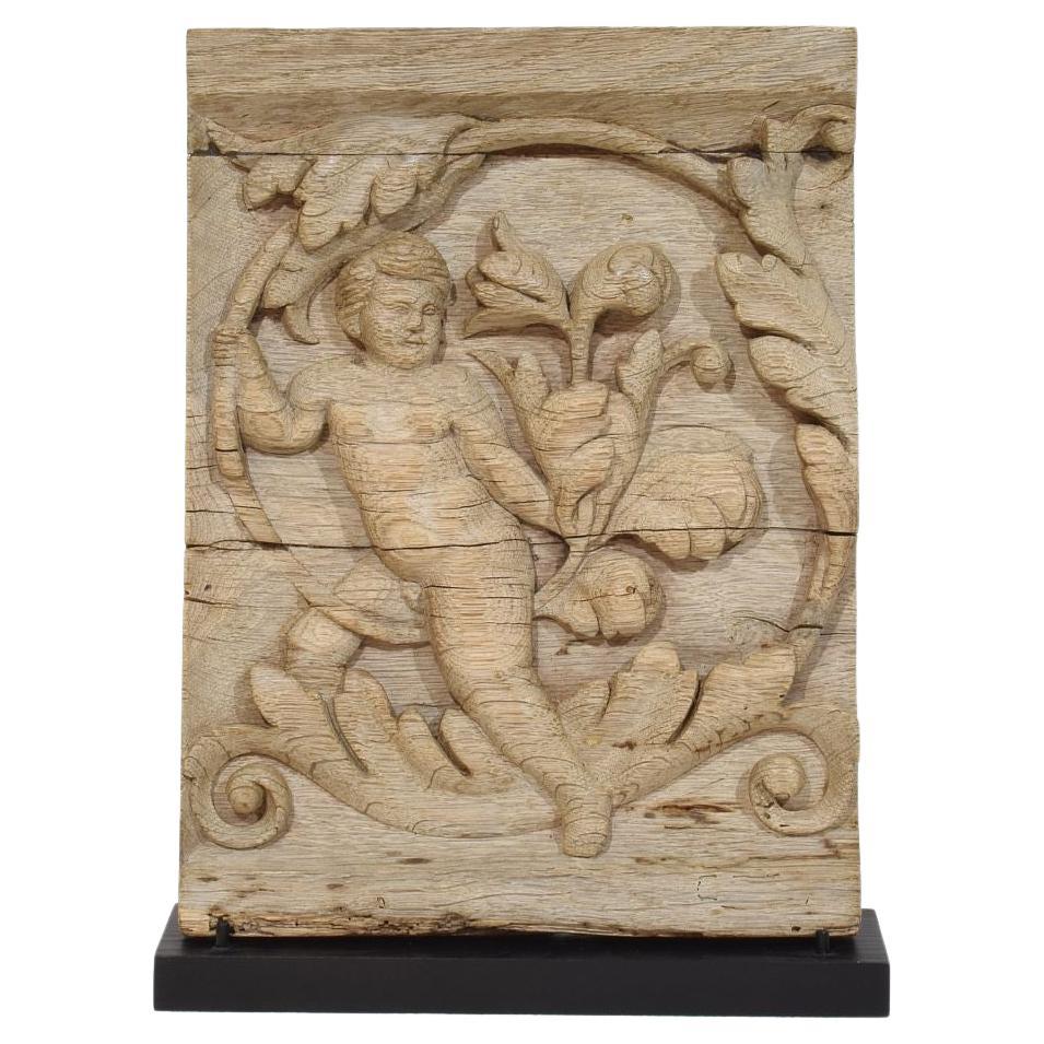 18. Jahrhundert Französisch geschnitzte Eiche Panel Darstellung eines Engels auf einem Acanthus Curl